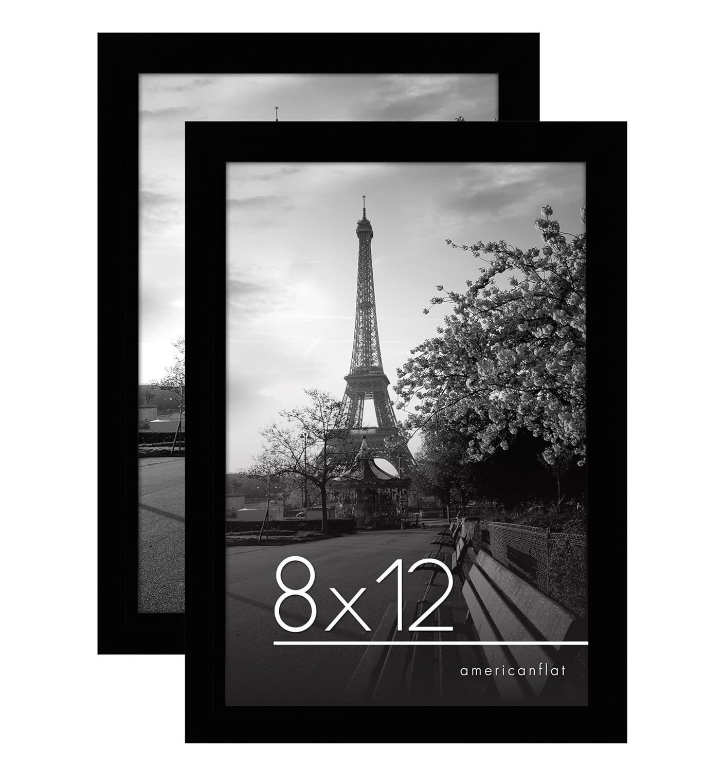 Classic Gallery Picture Frame Set of 2 | Signature Collection