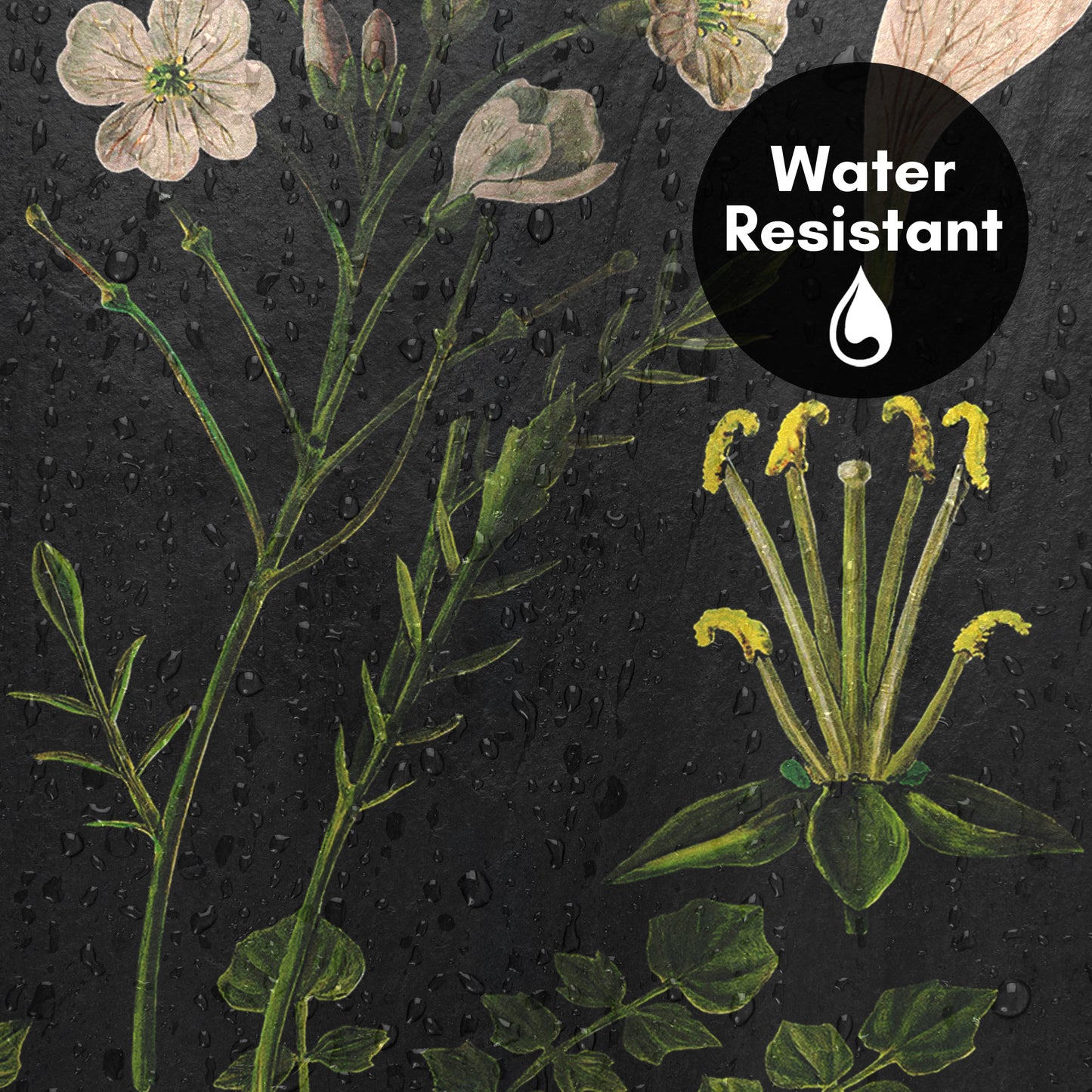 71x74 Botanical Shower Curtain with 12 Metal Grommets | Cuckoo Flower