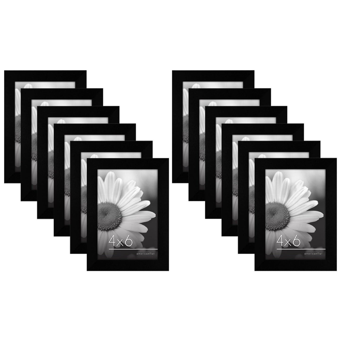 Gallery Wall Picture Frames Set of 12 - Americanflat