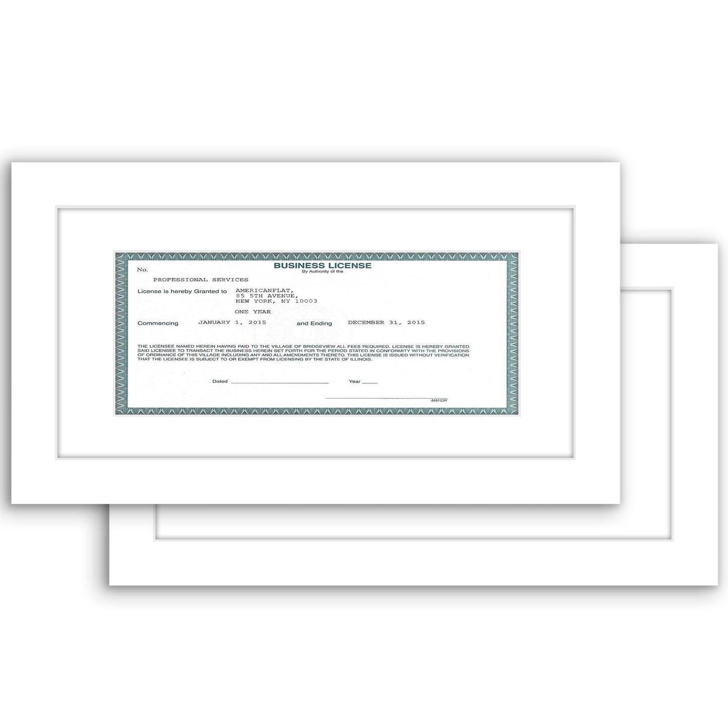 Americanflat License Frame | Set of 2 | 3.5x8 Mat | Shatter-Resistant Glass