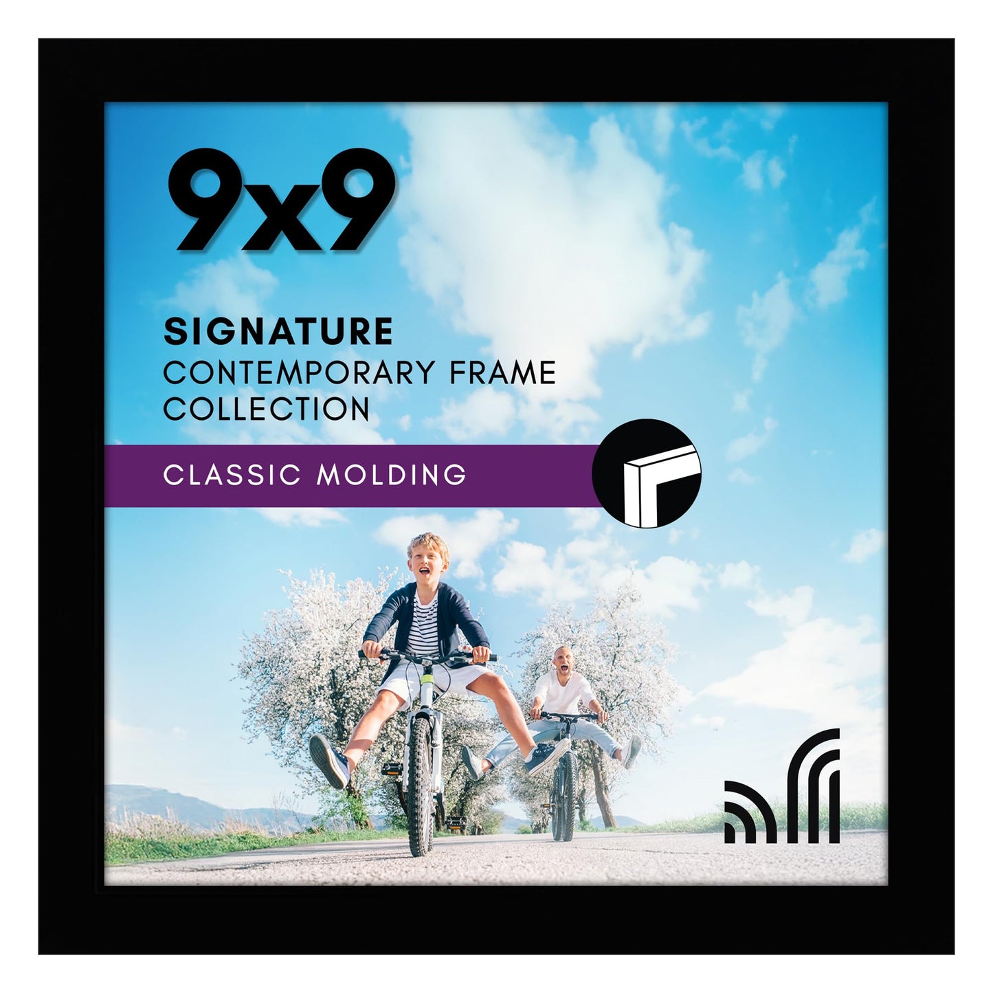 Black Picture Frame Without Mat, Glass Front - Americanflat