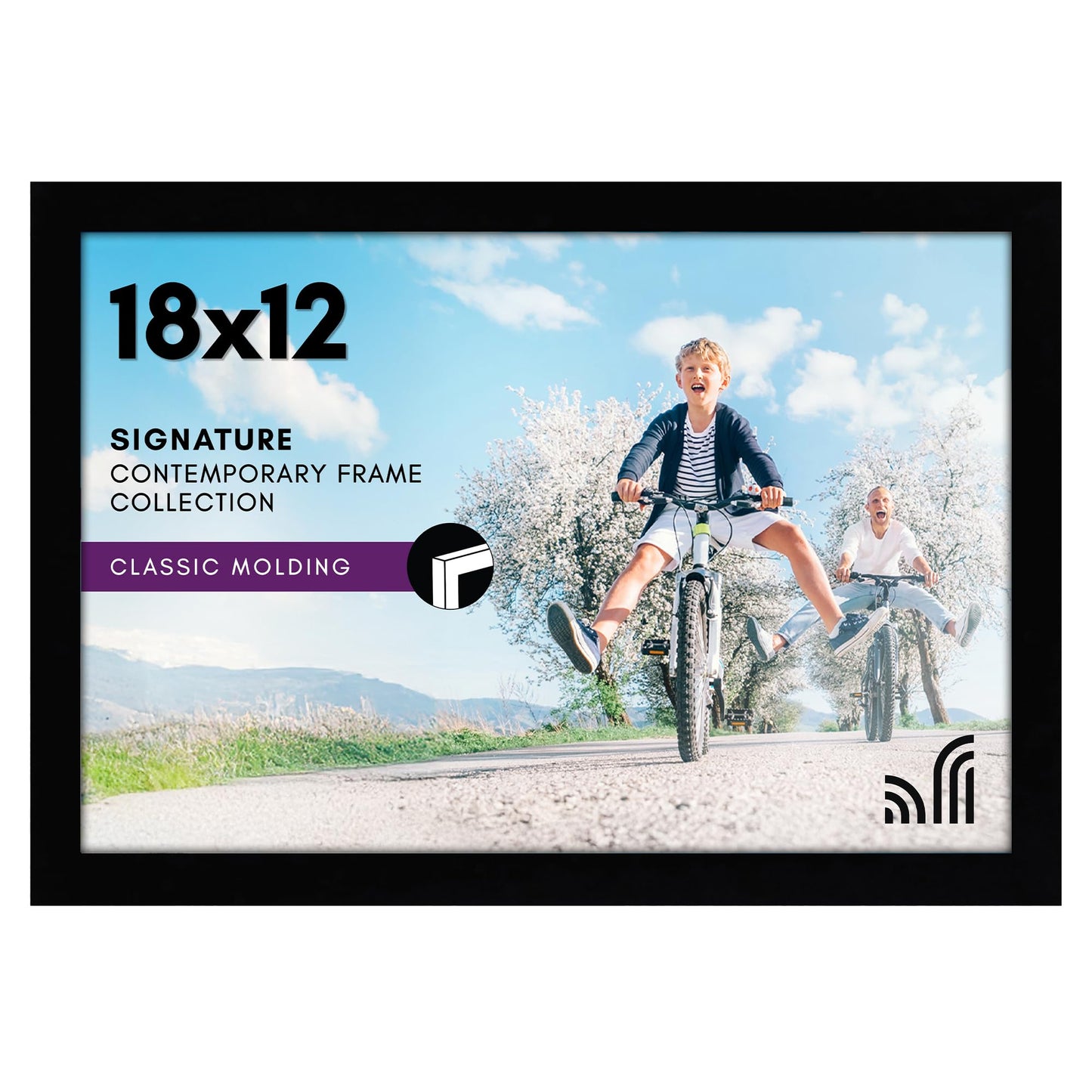 Black Picture Frame Without Mat, Glass Front - Americanflat