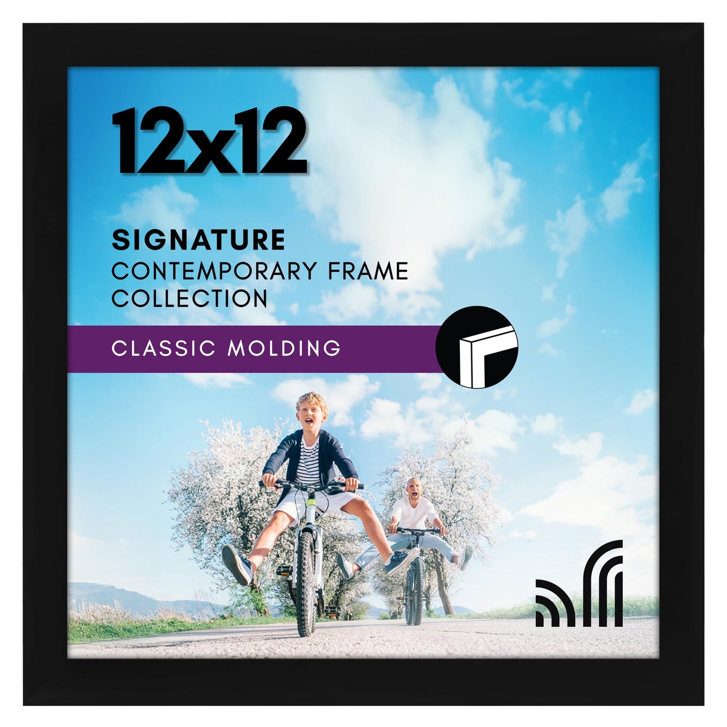 Black Picture Frame Without Mat, Glass Front - Americanflat