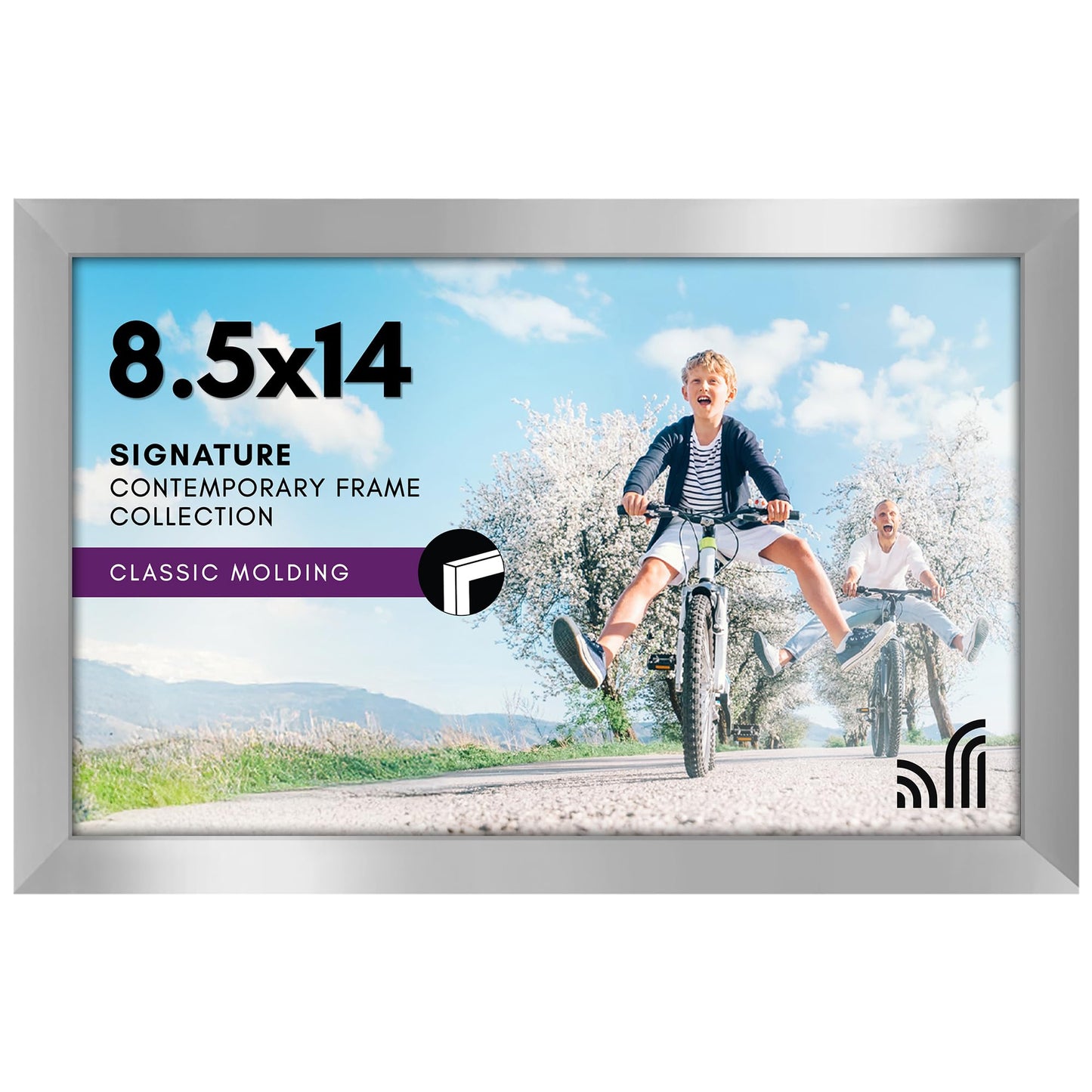 Metallic Picture Frame Without Mat, Glass Front - Americanflat
