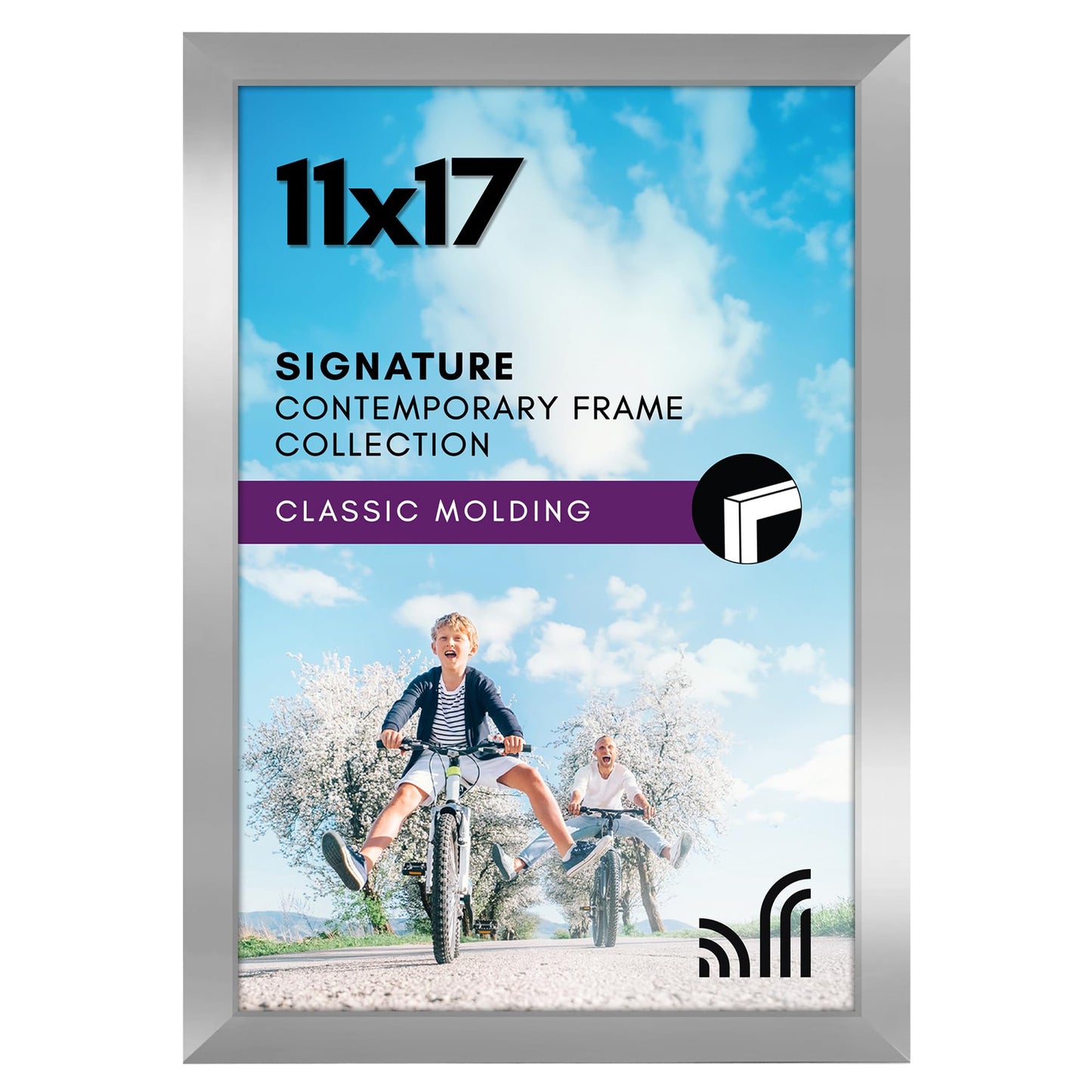 Metallic Picture Frame Without Mat, Glass Front - Americanflat