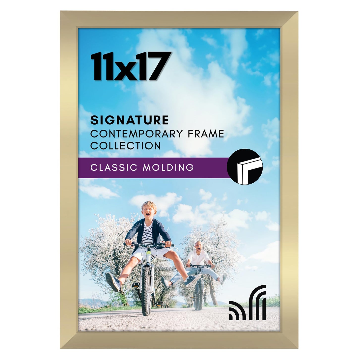 Metallic Picture Frame Without Mat, Glass Front - Americanflat