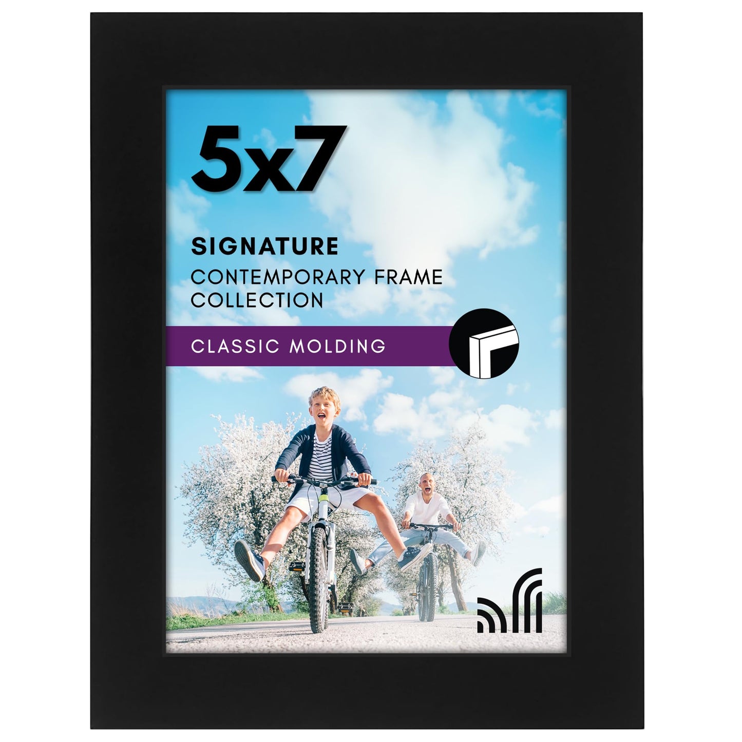 Black Picture Frame Without Mat, Glass Front - Americanflat