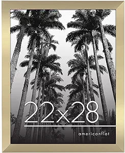 Gallery Poster Frame with Wood Grain Finish | Epic Collection