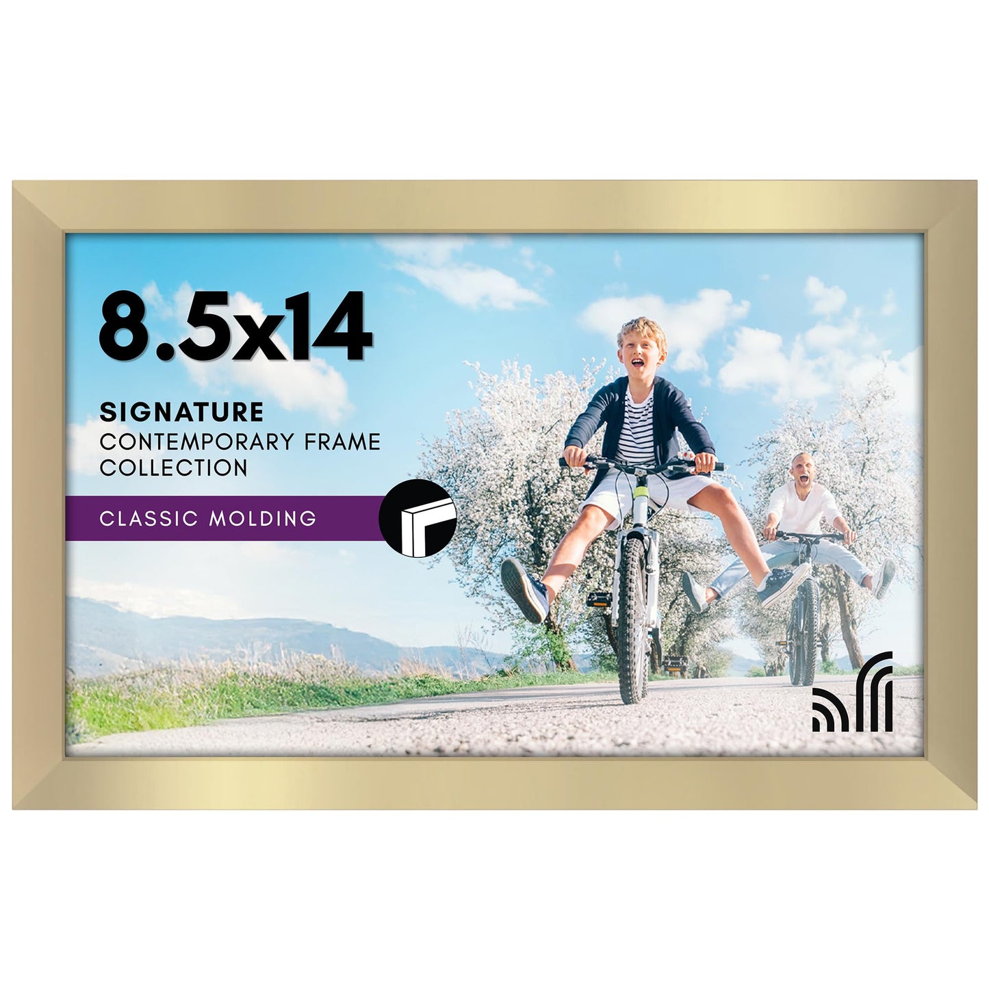 Metallic Picture Frame Without Mat, Glass Front - Americanflat