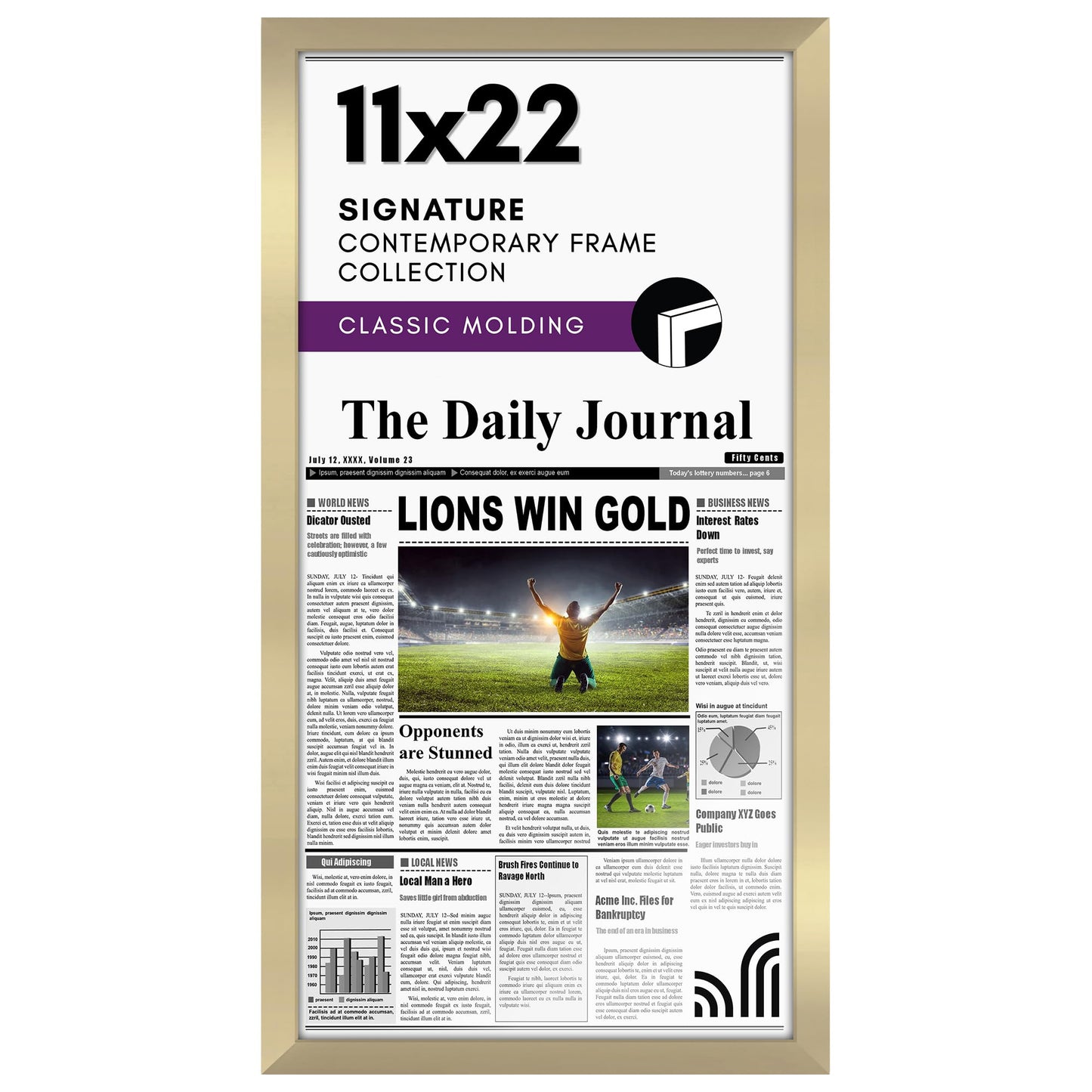 Newspaper Frame 11x22 Without Mat - Americanflat