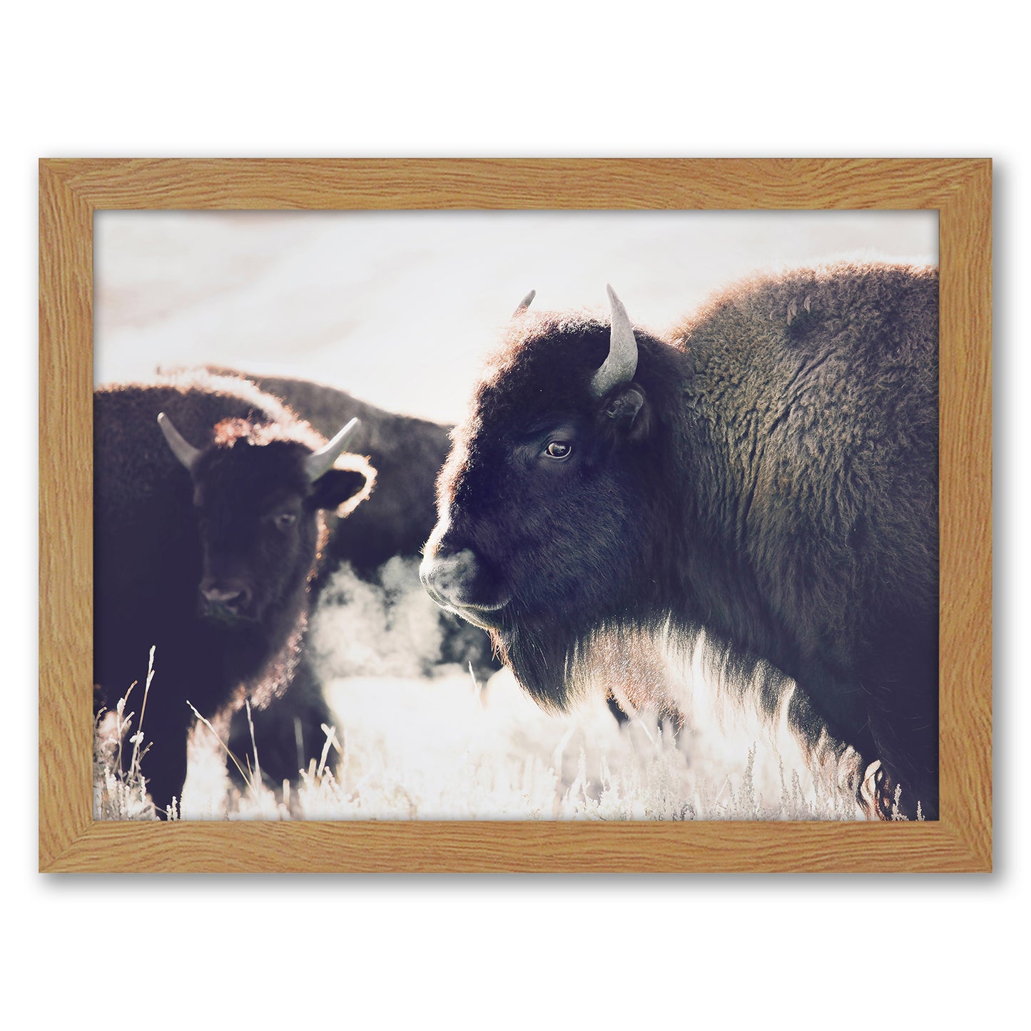 Contemporary Southwest Photography - 6 Piece Framed Gallery Wall Set