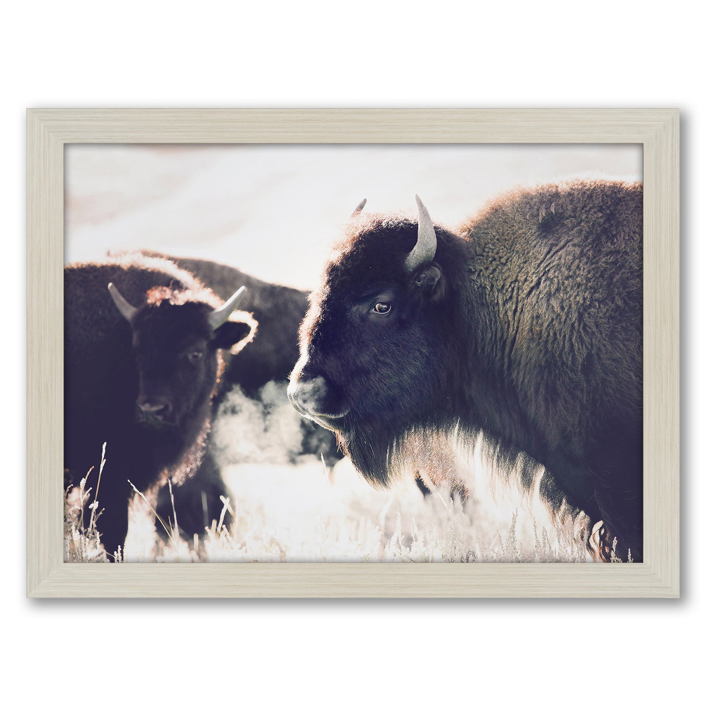 Contemporary Southwest Photography - 6 Piece Framed Gallery Wall Set