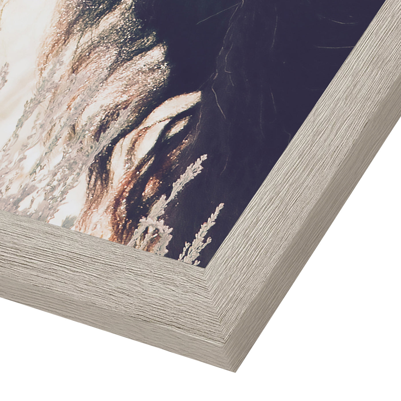 Contemporary Southwest Photography - 6 Piece Framed Gallery Wall Set