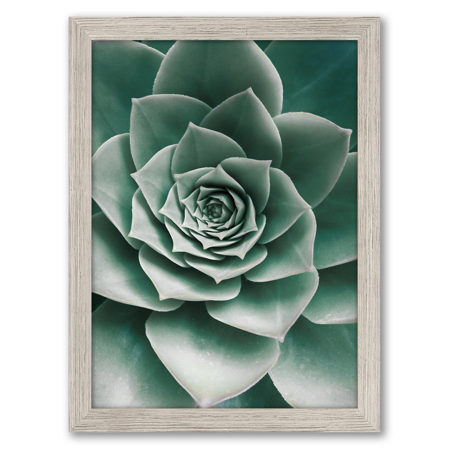 Contemporary Southwest Photography - 6 Piece Framed Gallery Wall Set