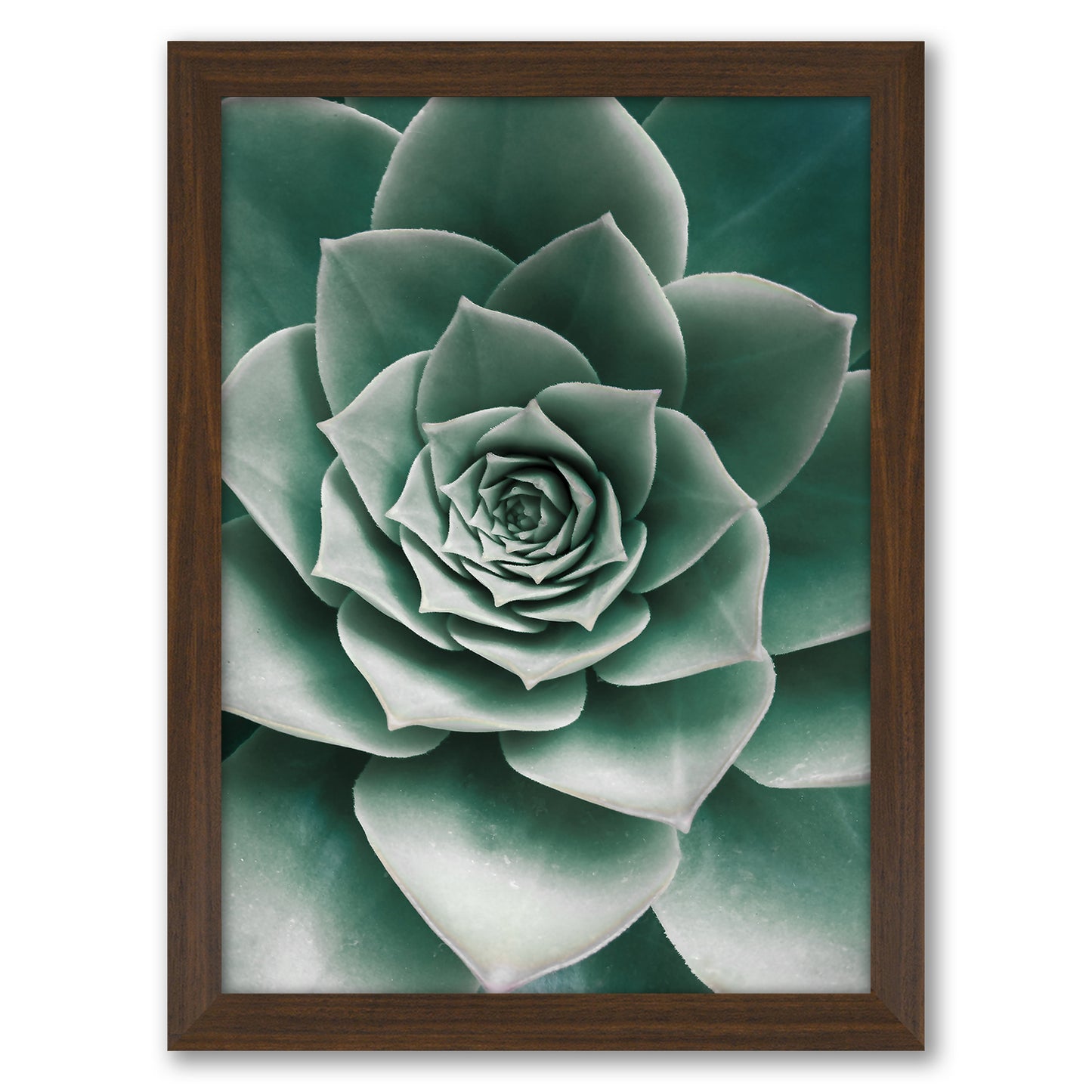 Contemporary Southwest Photography - 6 Piece Framed Gallery Wall Set