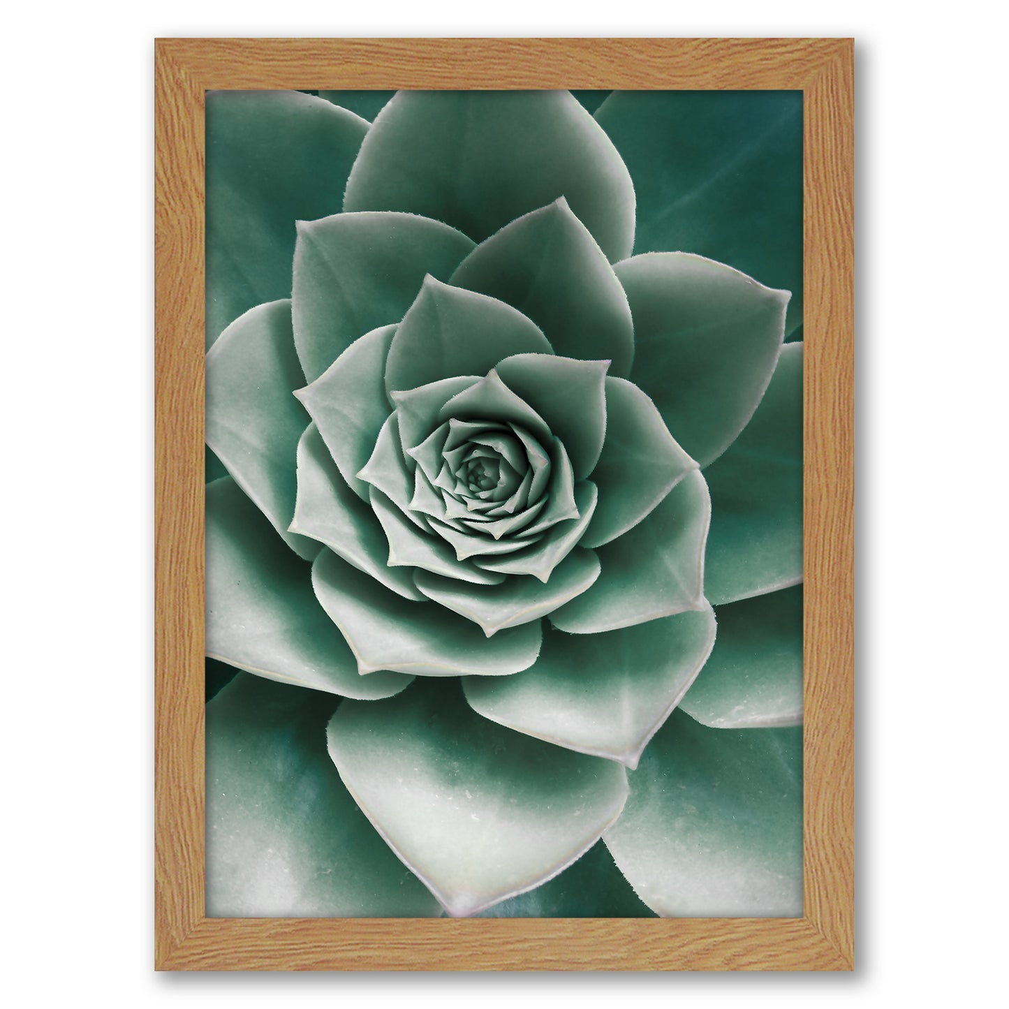 Contemporary Southwest Photography - 6 Piece Framed Gallery Wall Set