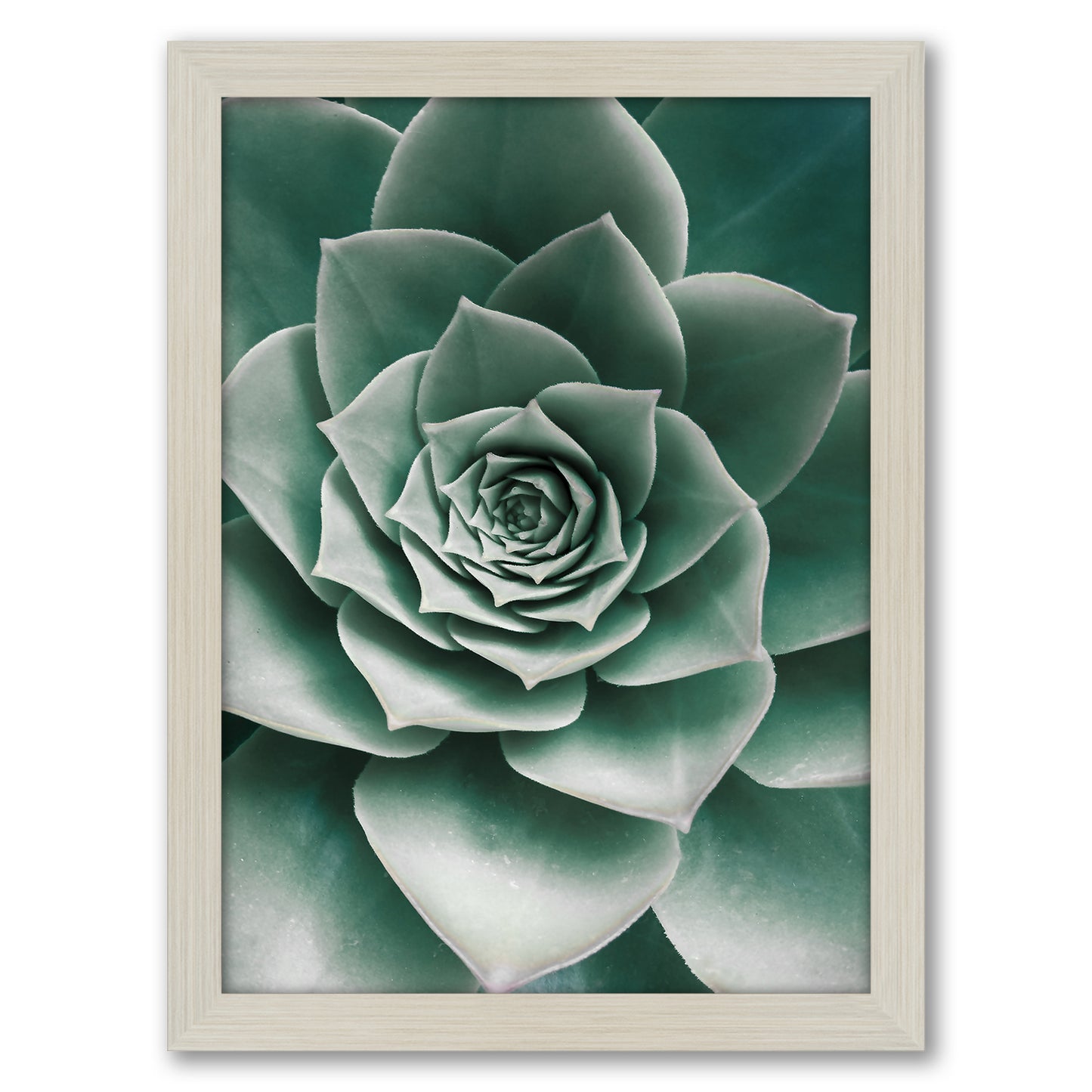 Contemporary Southwest Photography - 6 Piece Framed Gallery Wall Set
