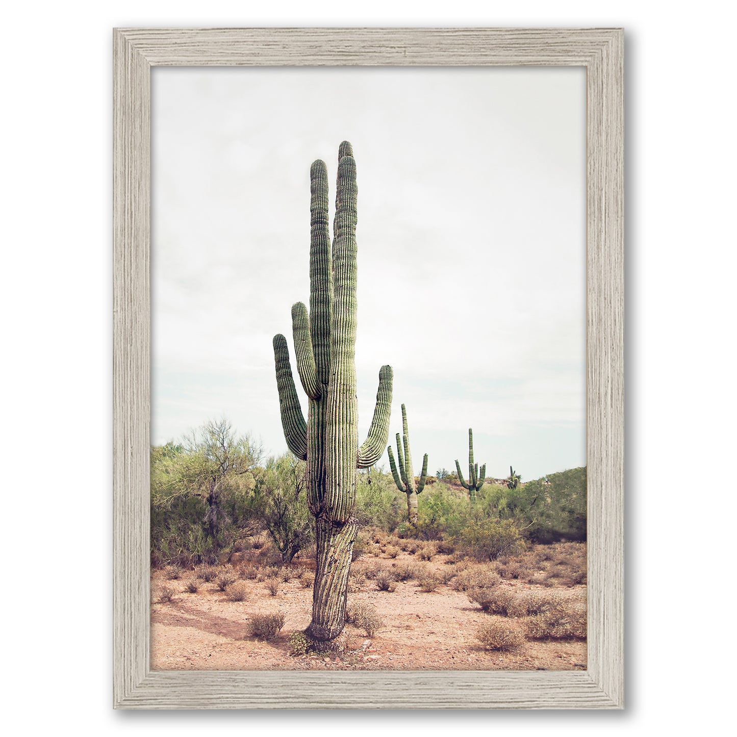 Contemporary Southwest Photography - 6 Piece Framed Gallery Wall Set