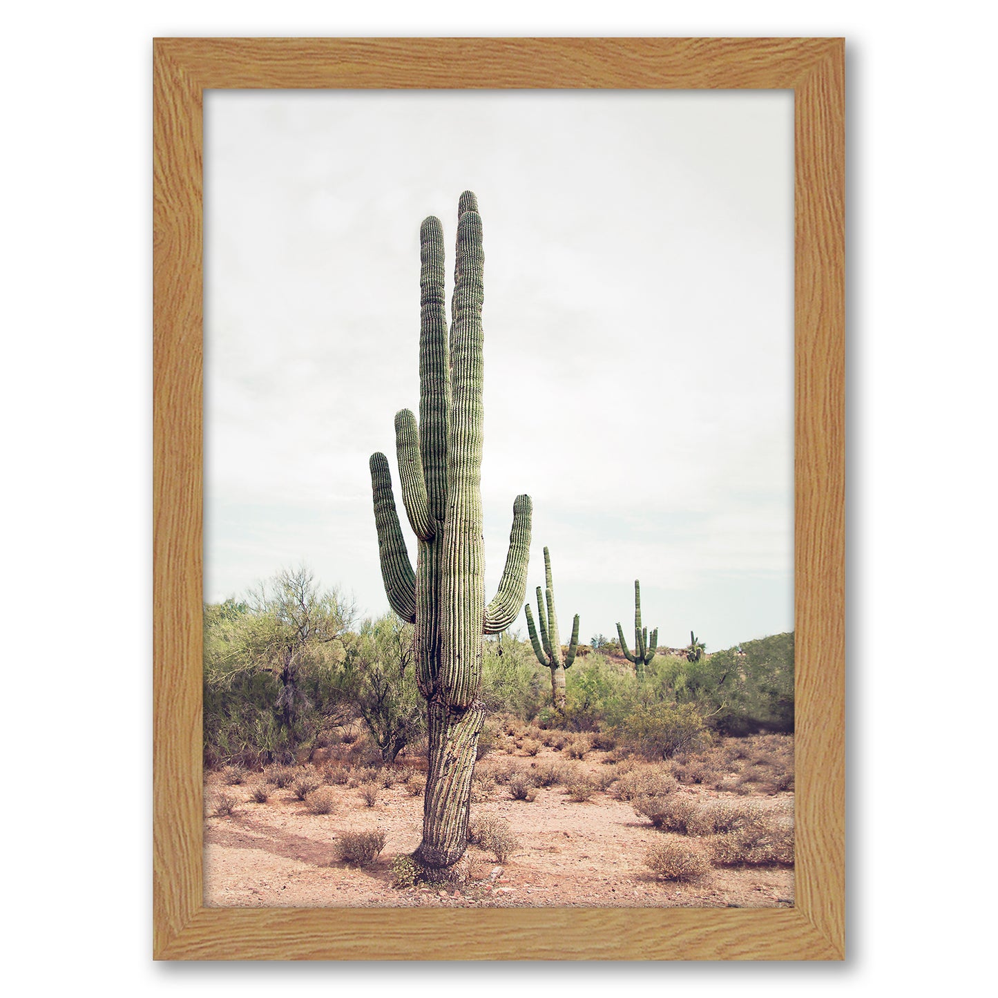 Contemporary Southwest Photography - 6 Piece Framed Gallery Wall Set