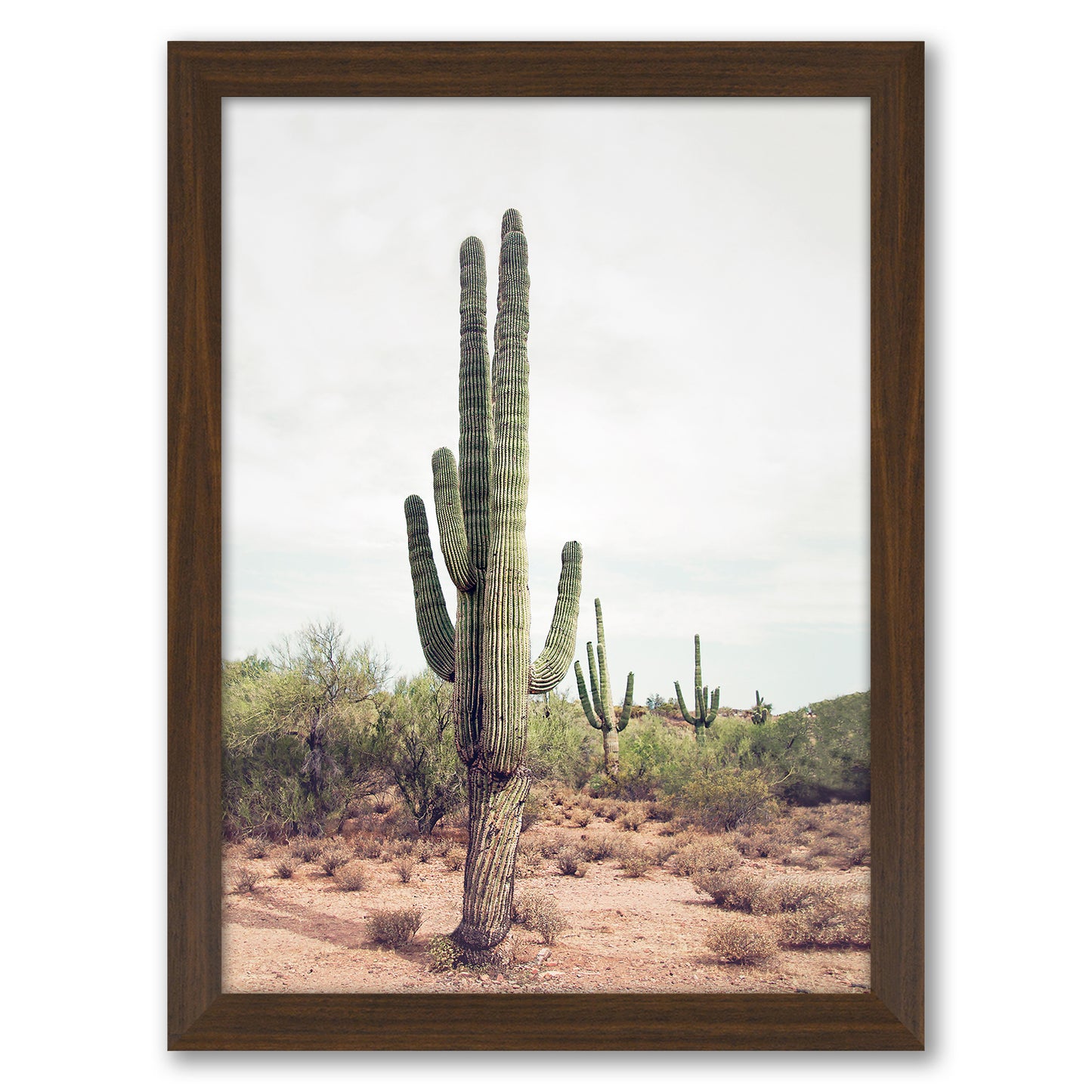 Contemporary Southwest Photography - 6 Piece Framed Gallery Wall Set