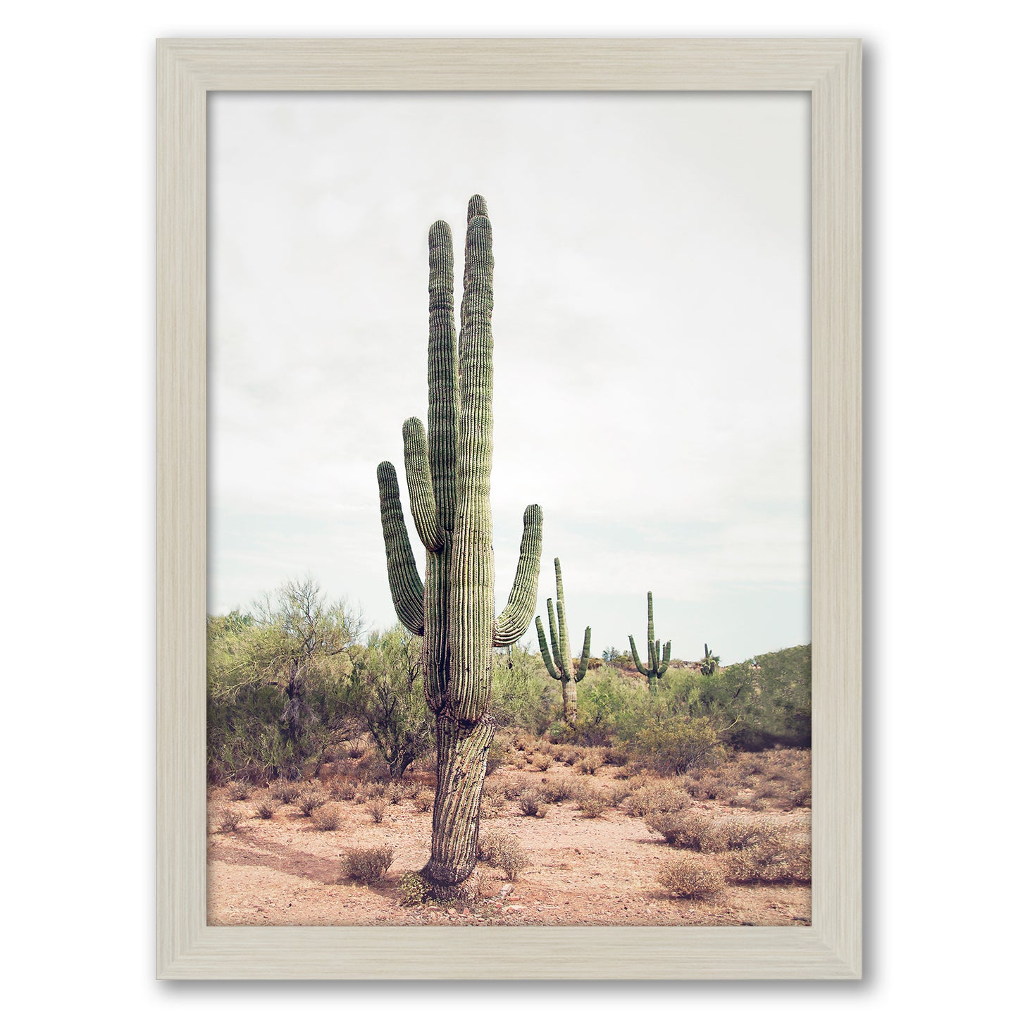 Contemporary Southwest Photography - 6 Piece Framed Gallery Wall Set