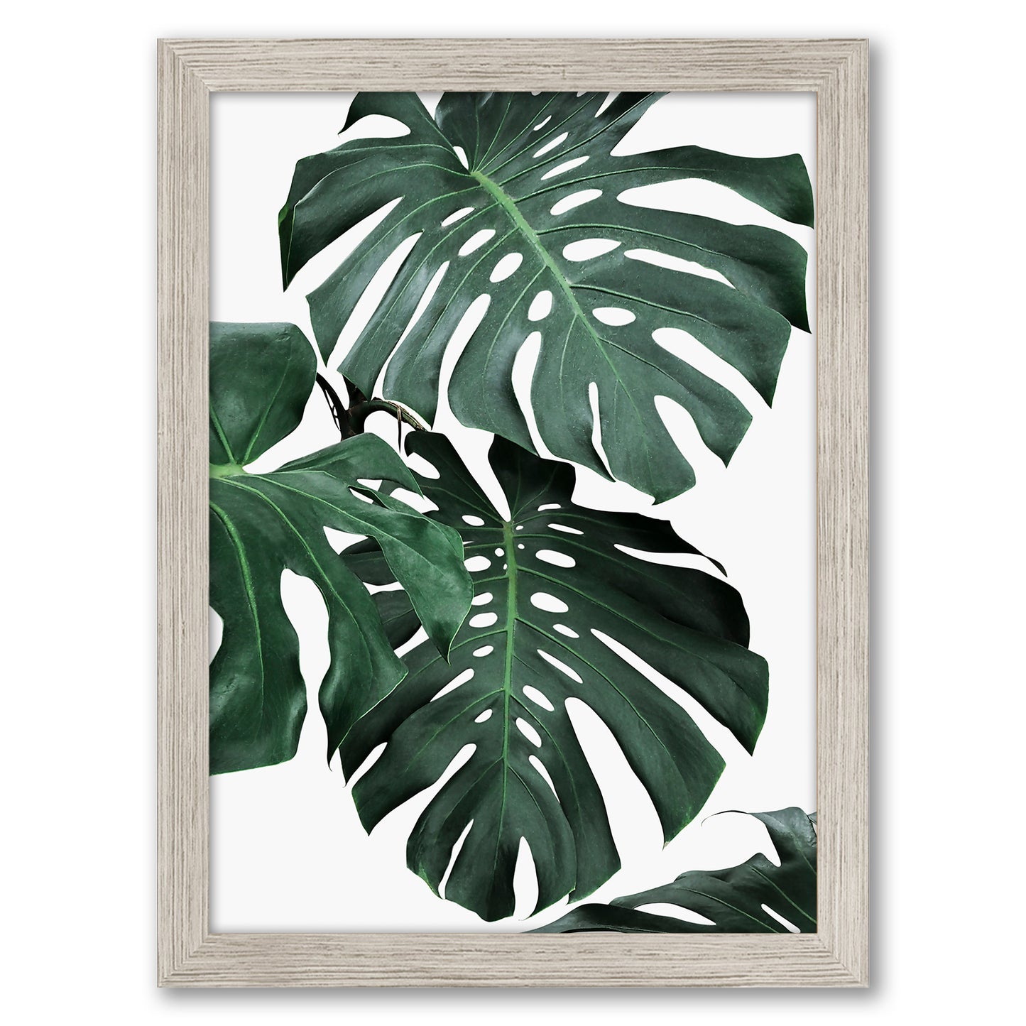 Contemporary Southwest Photography - 6 Piece Framed Gallery Wall Set