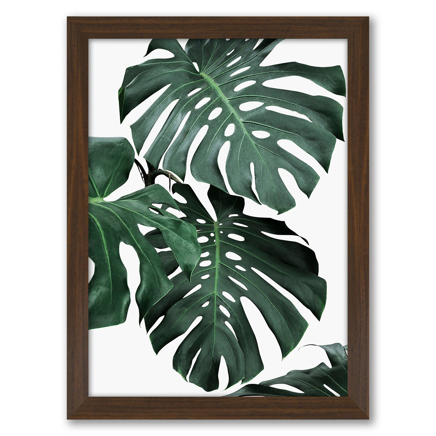 Contemporary Southwest Photography - 6 Piece Framed Gallery Wall Set