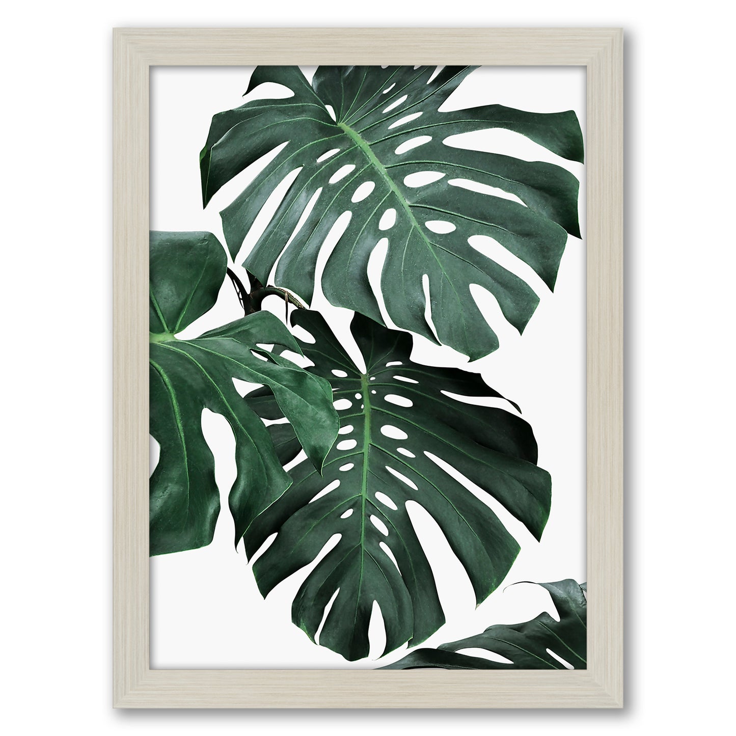Contemporary Southwest Photography - 6 Piece Framed Gallery Wall Set