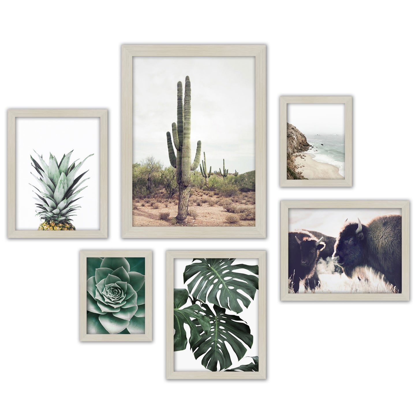 Contemporary Southwest Photography - 6 Piece Framed Gallery Wall Set