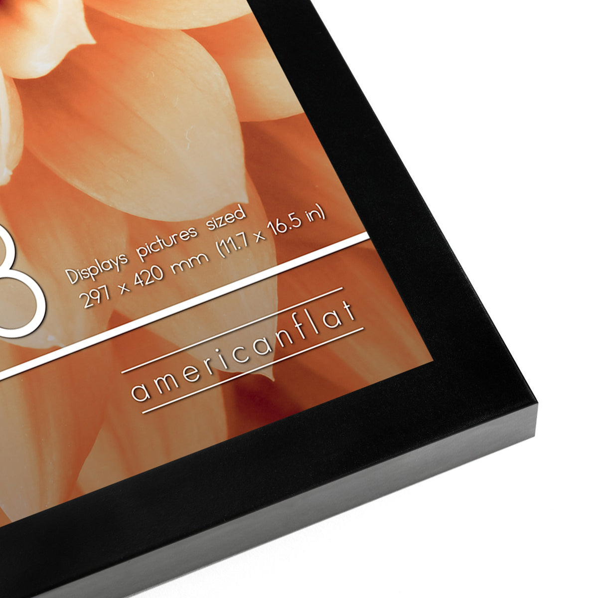 A-Sized Picture Frame (A2, A3, A4, A5) | A Frames Collection