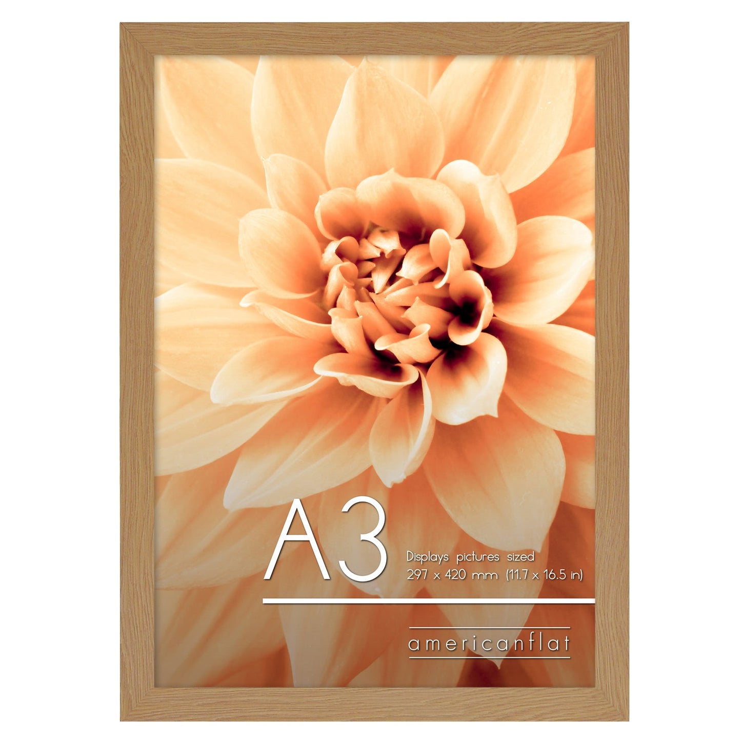 A-Sized Picture Frame (A2, A3, A4, A5) | A Frames Collection