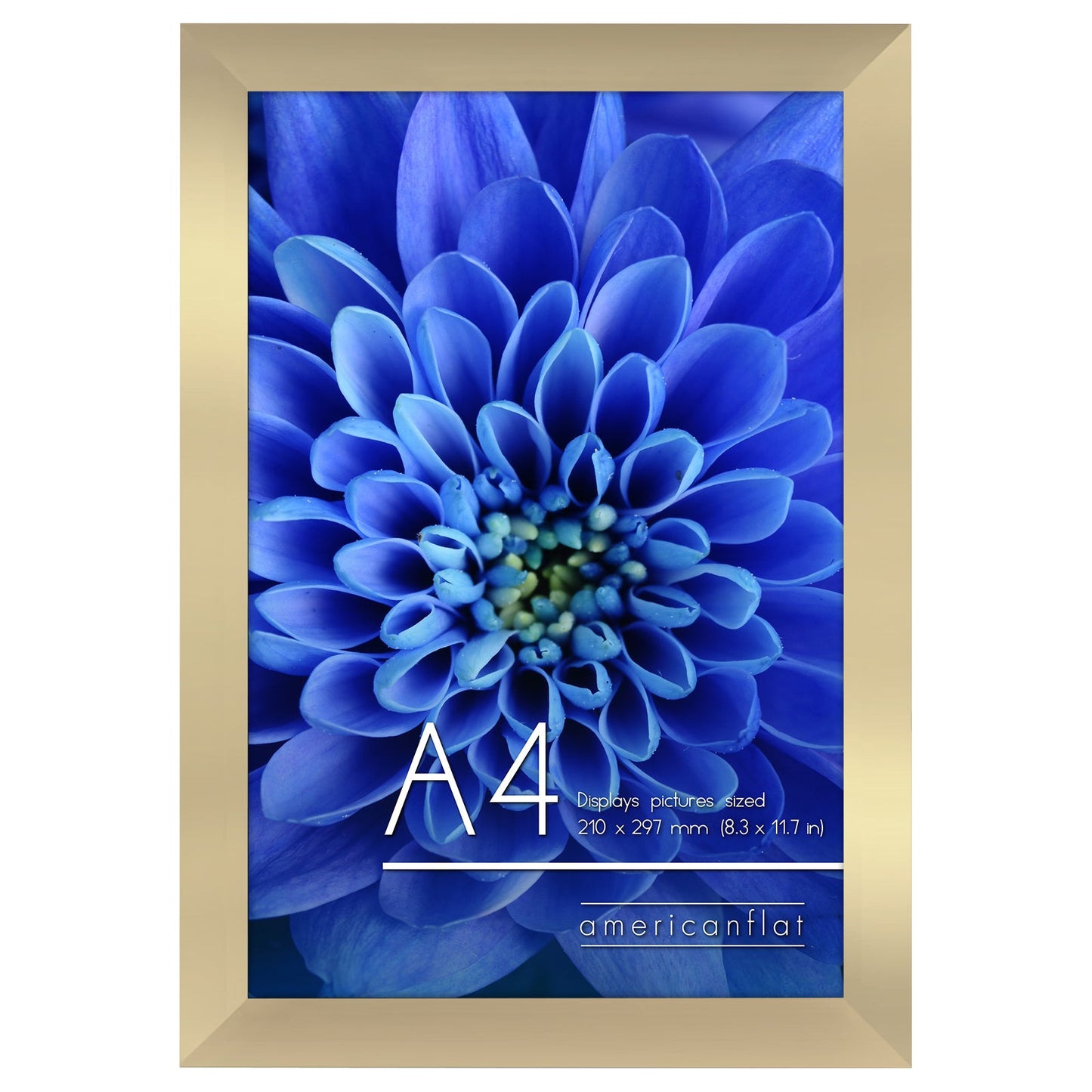 A-Sized Picture Frame (A2, A3, A4, A5) | A Frames Collection