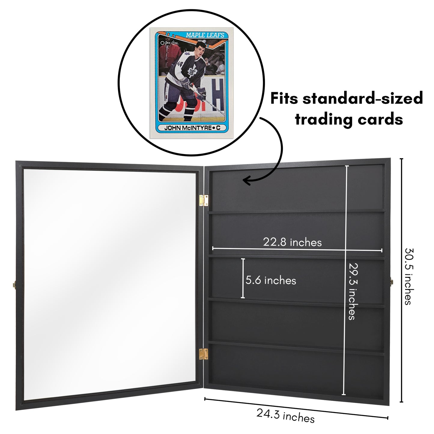 23x31 Baseball Card Display Case | Silhouette Collection