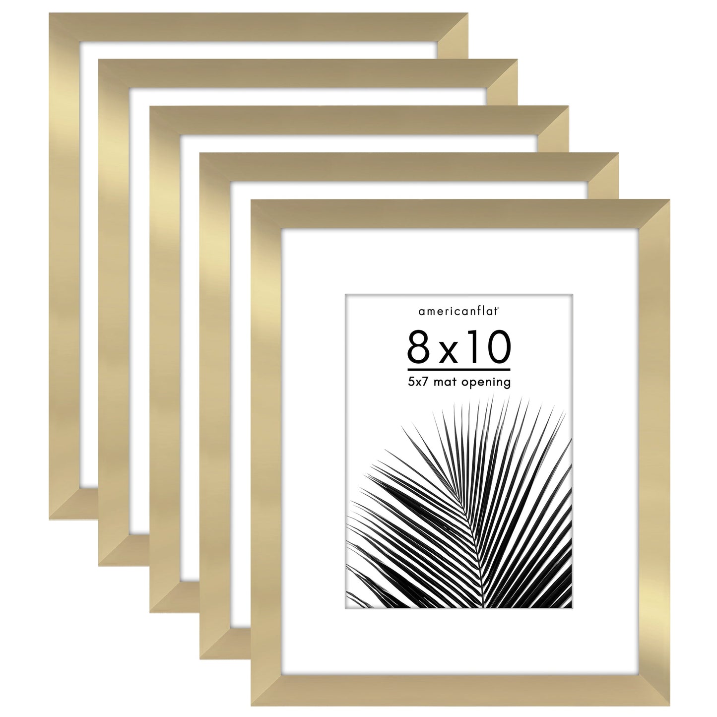 Set of 5 - Classic Gallery Picture Frame with Mat | Galleria Collection