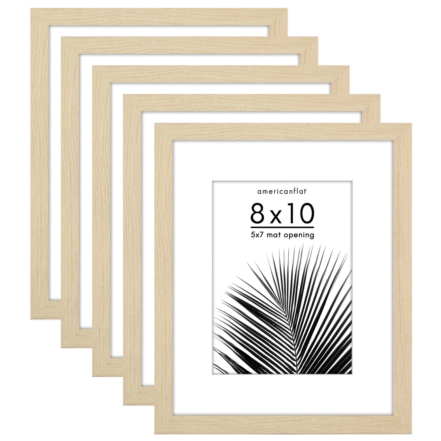 Set of 5 - Classic Gallery Picture Frame with Mat | Galleria Collection
