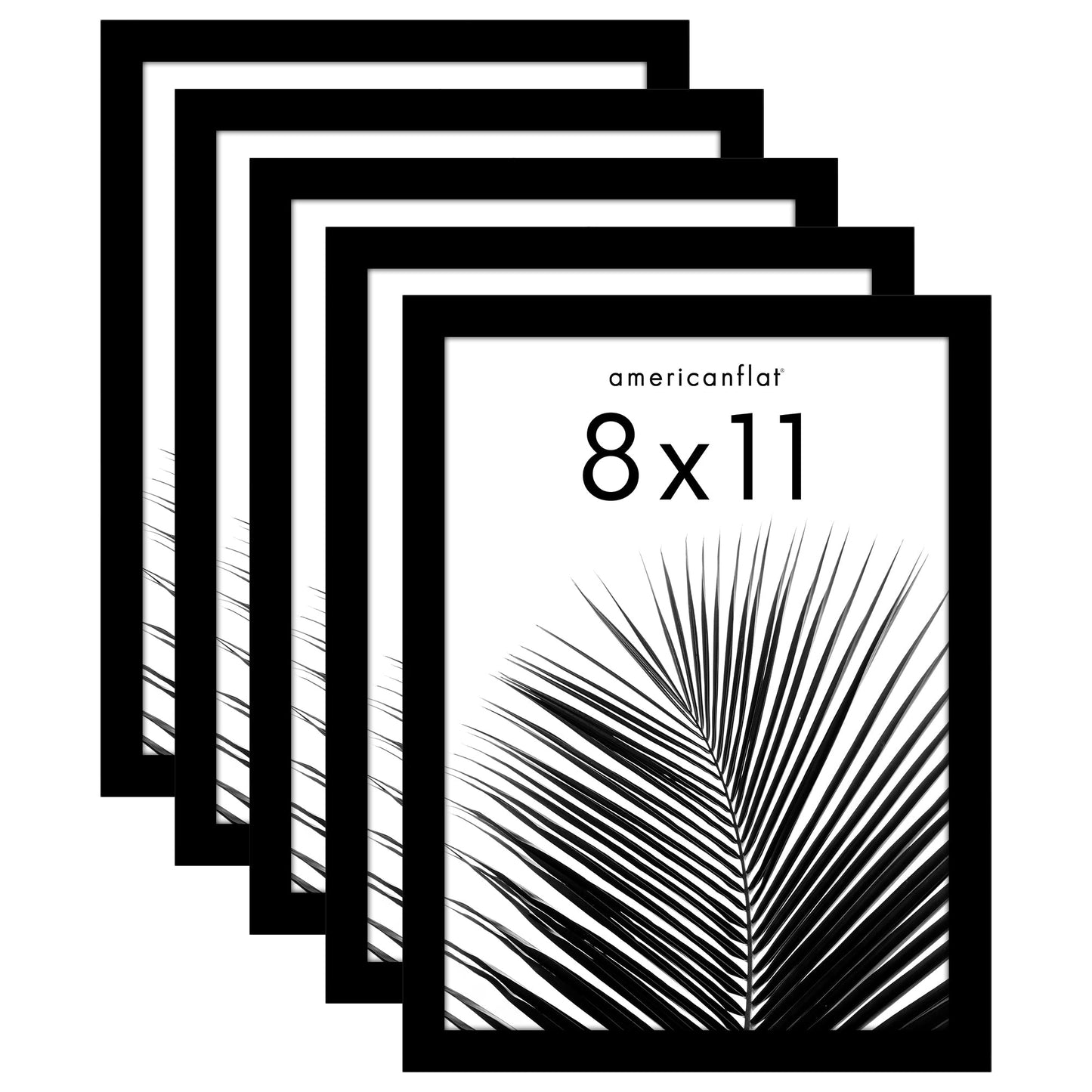 Set of 5 - Classic Gallery Picture Frame with Mat | Galleria Collection