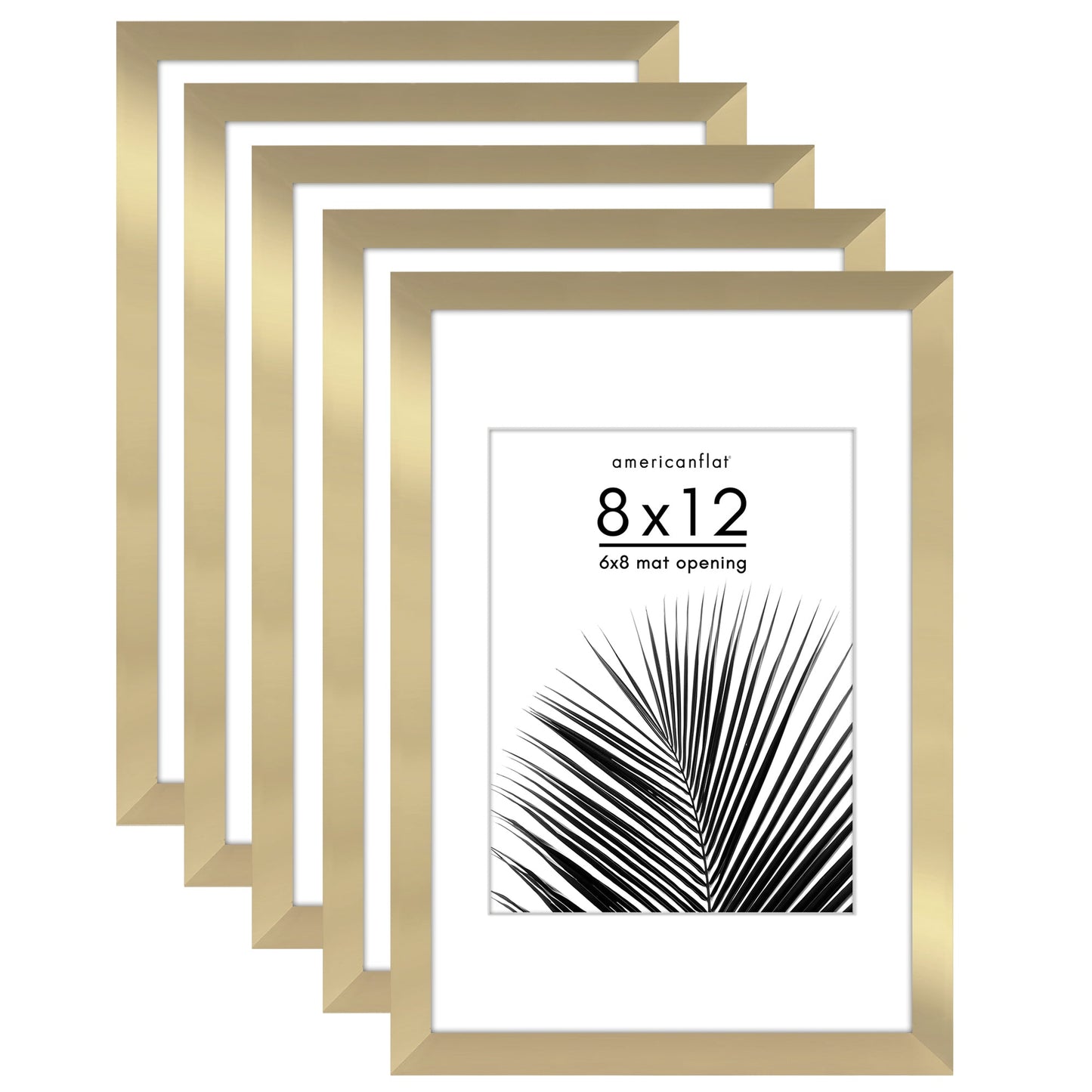 Set of 5 - Classic Gallery Picture Frame with Mat | Galleria Collection