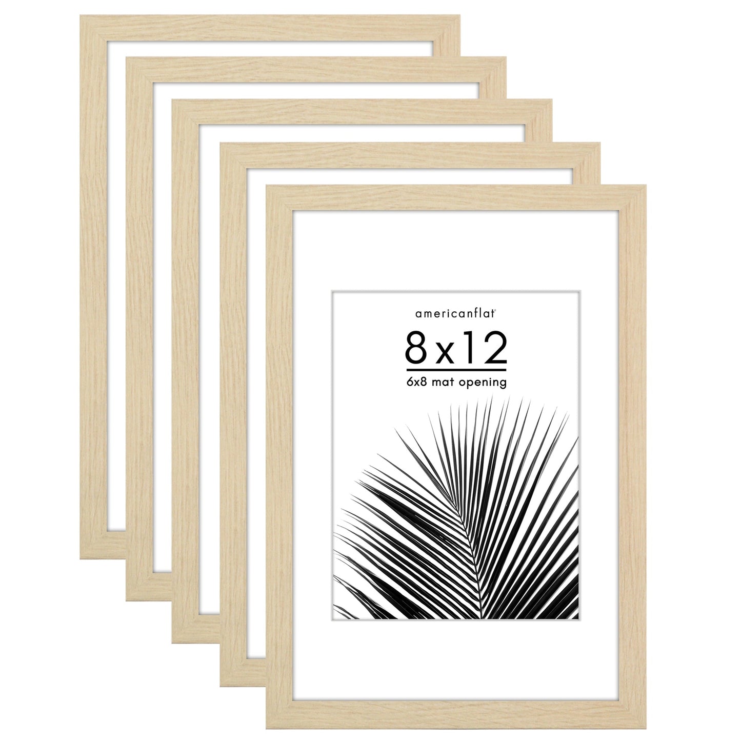 Set of 5 - Classic Gallery Picture Frame with Mat | Galleria Collection