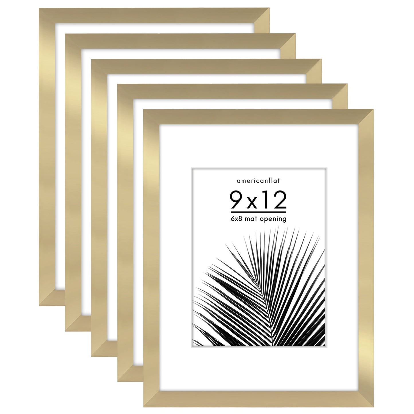 Set of 5 - Classic Gallery Picture Frame with Mat | Galleria Collection
