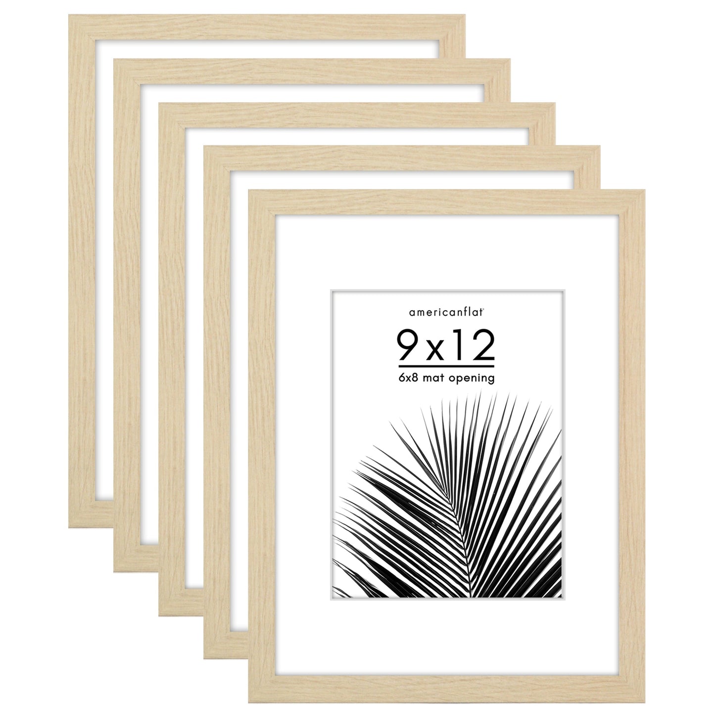 Set of 5 - Classic Gallery Picture Frame with Mat | Galleria Collection