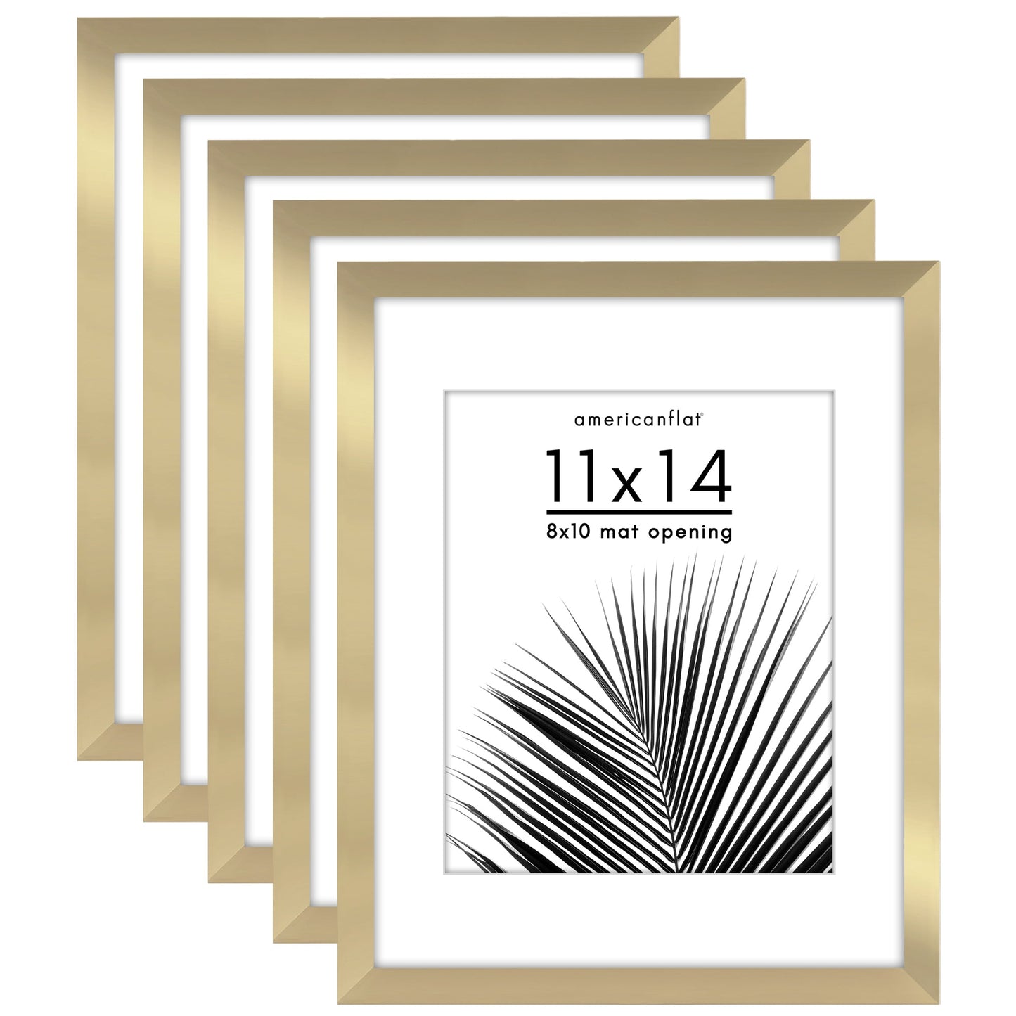 Set of 5 - Classic Gallery Picture Frame with Mat | Galleria Collection