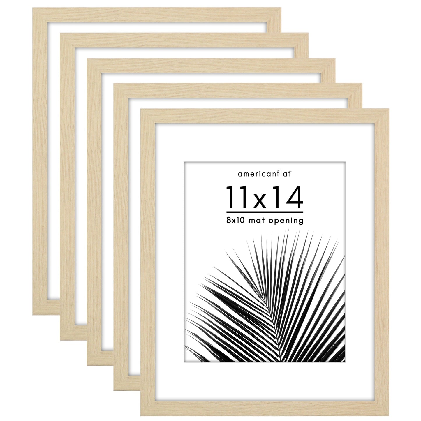 Set of 5 - Classic Gallery Picture Frame with Mat | Galleria Collection