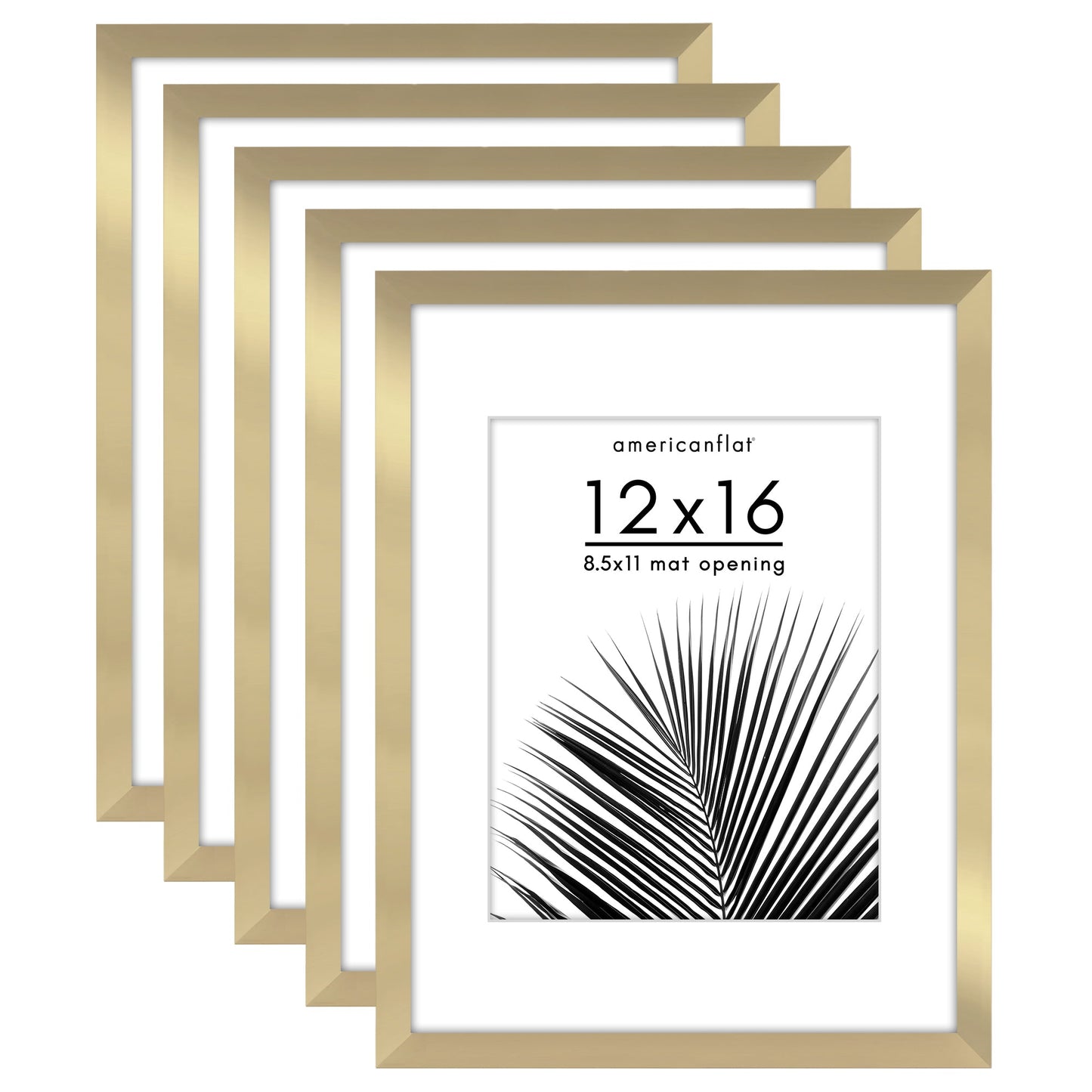 Set of 5 - Classic Gallery Picture Frame with Mat | Galleria Collection