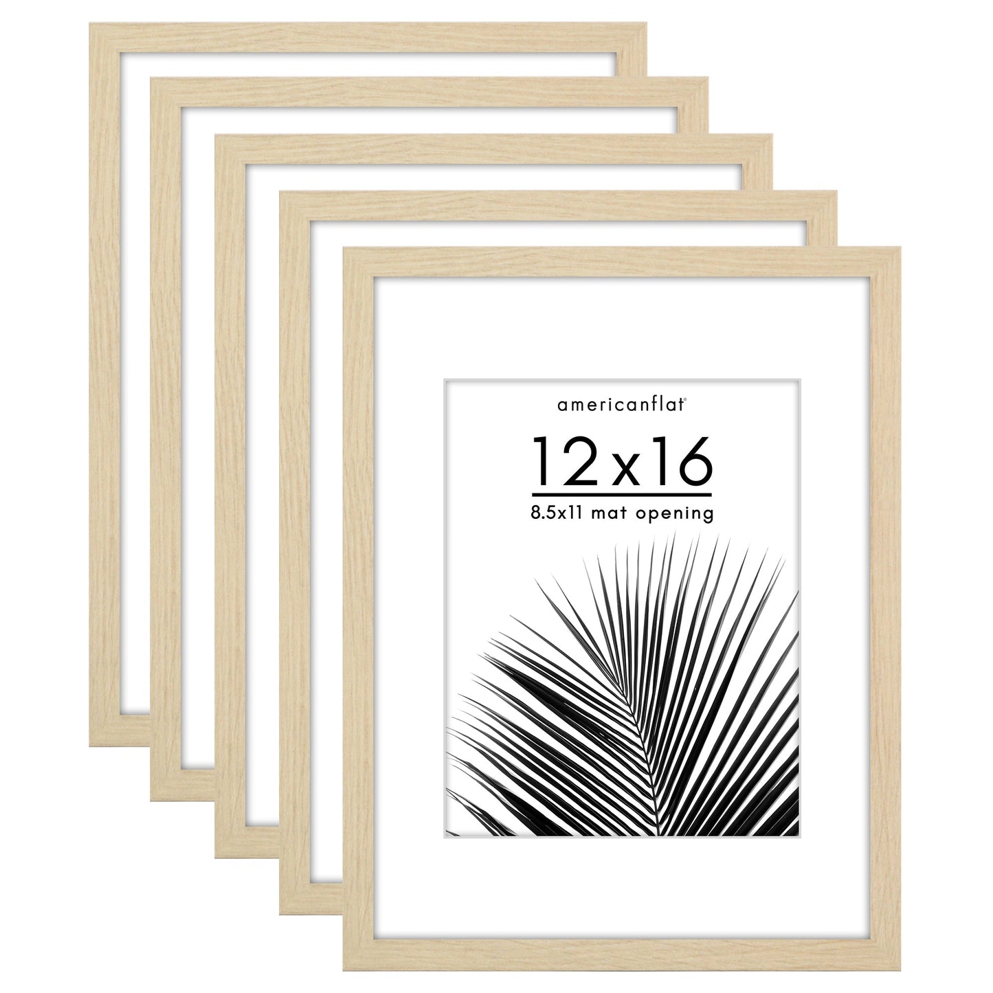 Set of 5 - Classic Gallery Picture Frame with Mat | Galleria Collection