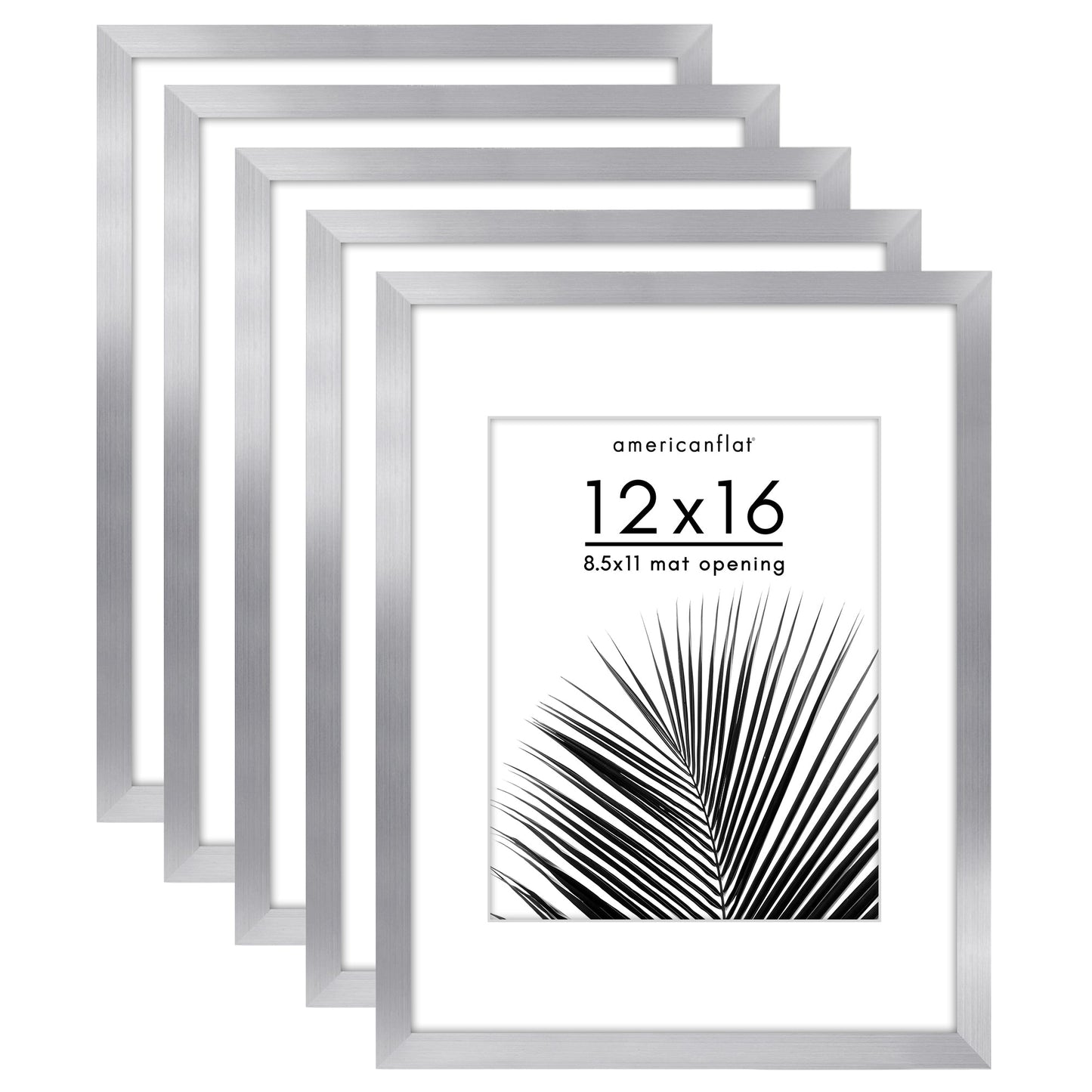Set of 5 - Classic Gallery Picture Frame with Mat | Galleria Collection