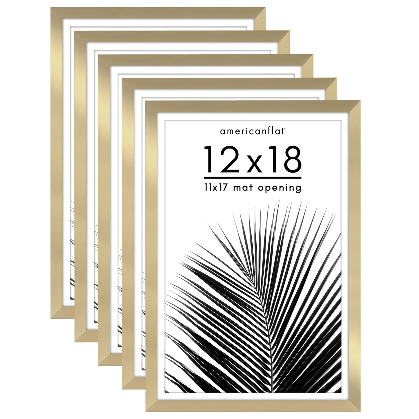 Set of 5 - Classic Gallery Picture Frame with Mat | Galleria Collection