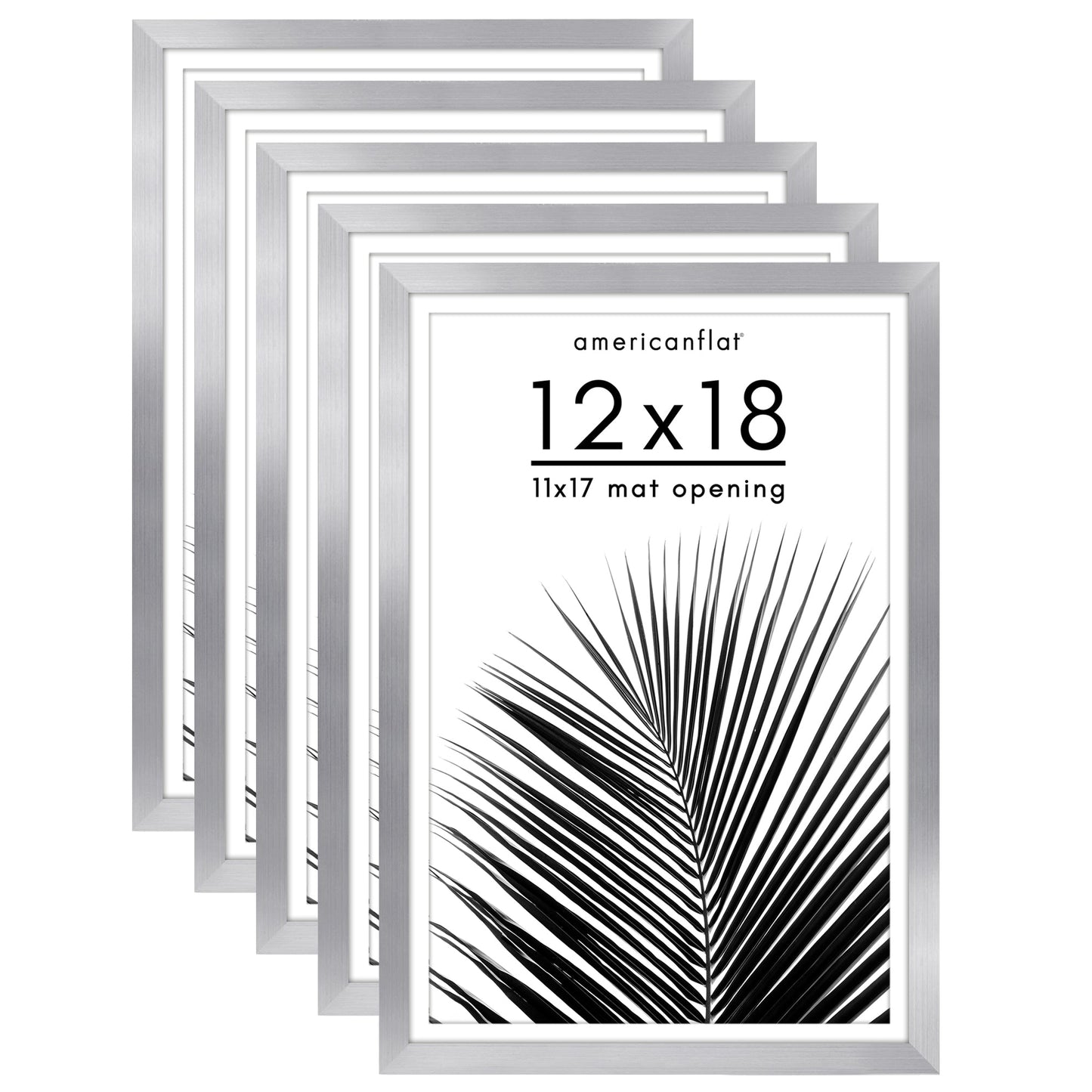 Set of 5 - Classic Gallery Picture Frame with Mat | Galleria Collection