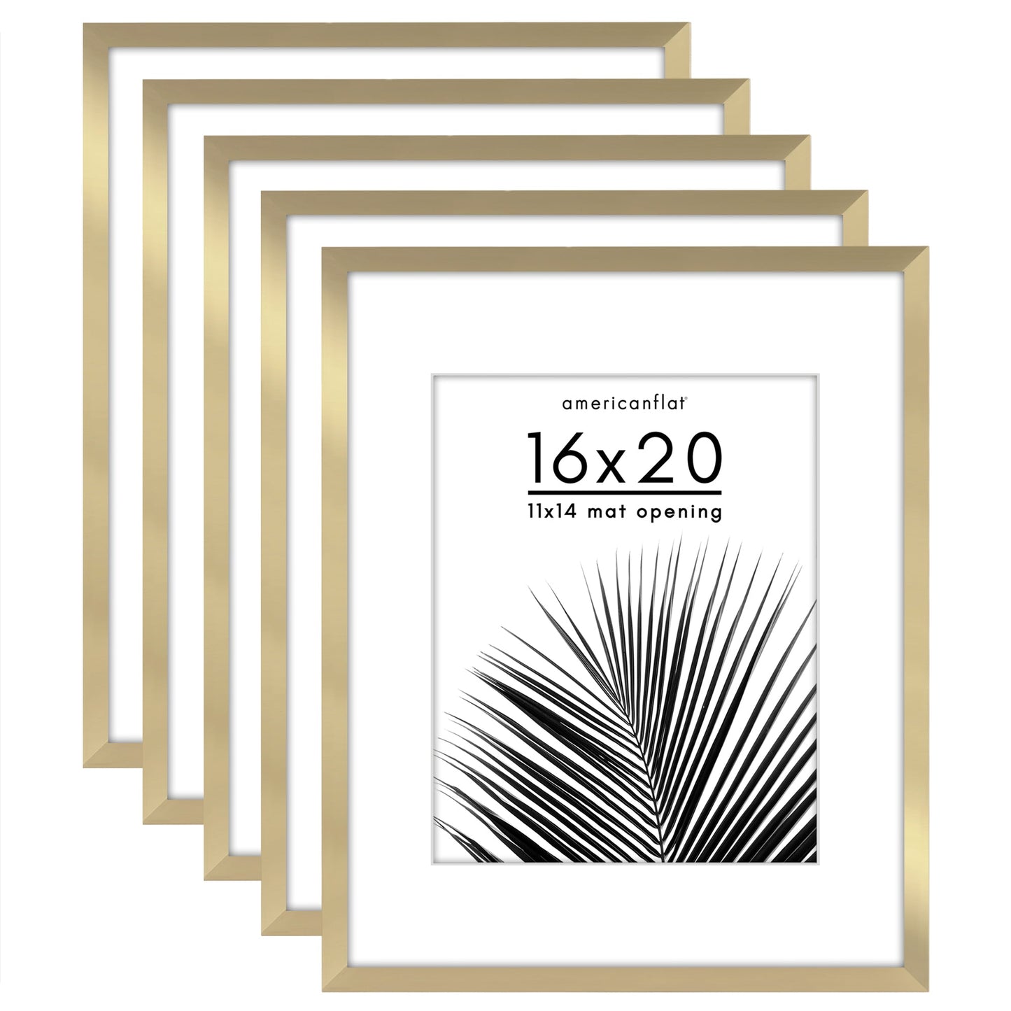 Set of 5 - Classic Gallery Picture Frame with Mat | Galleria Collection