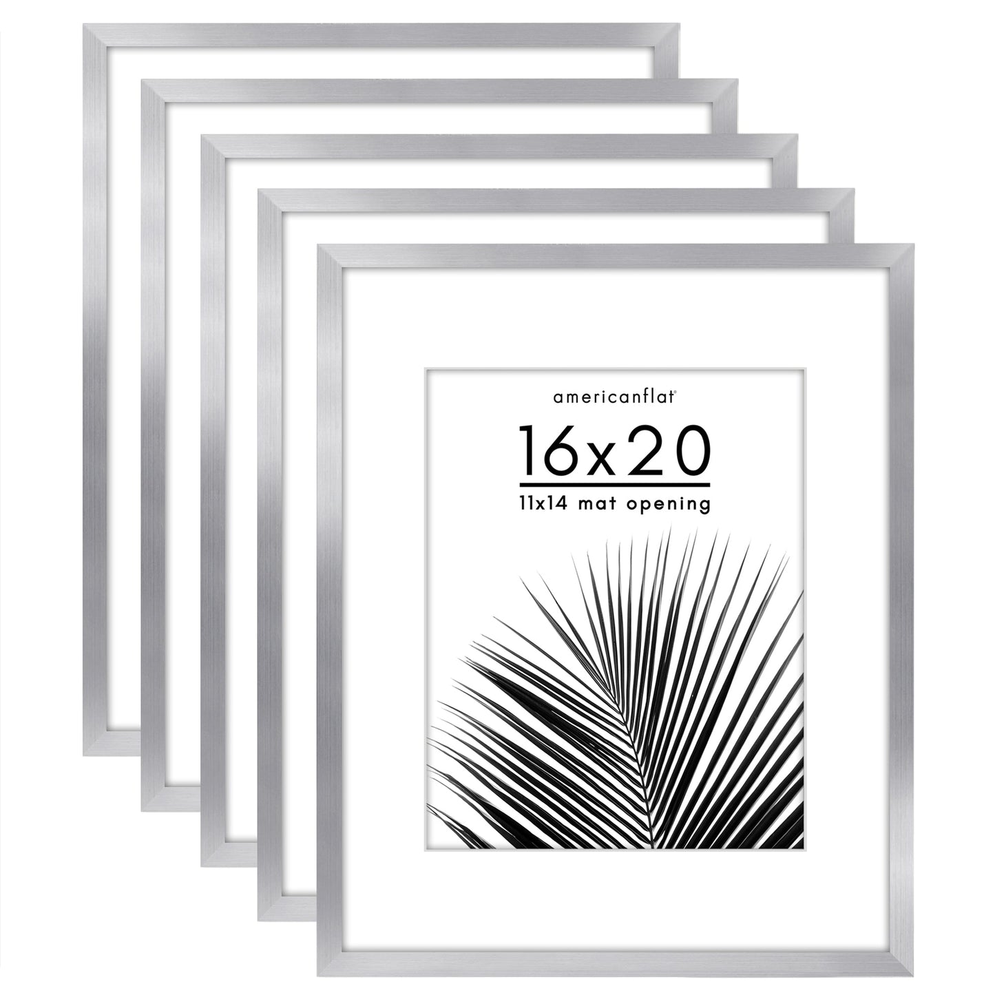 Set of 5 - Classic Gallery Picture Frame with Mat | Galleria Collection
