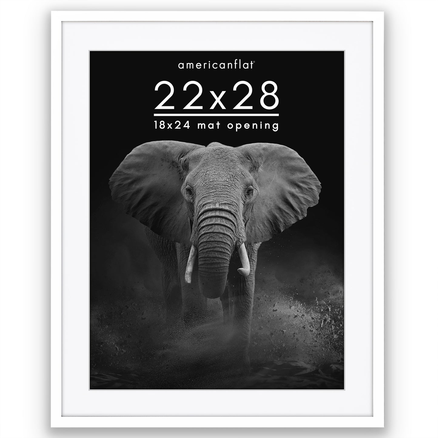 Gallery Picture Frame with Mat | Soho Collection